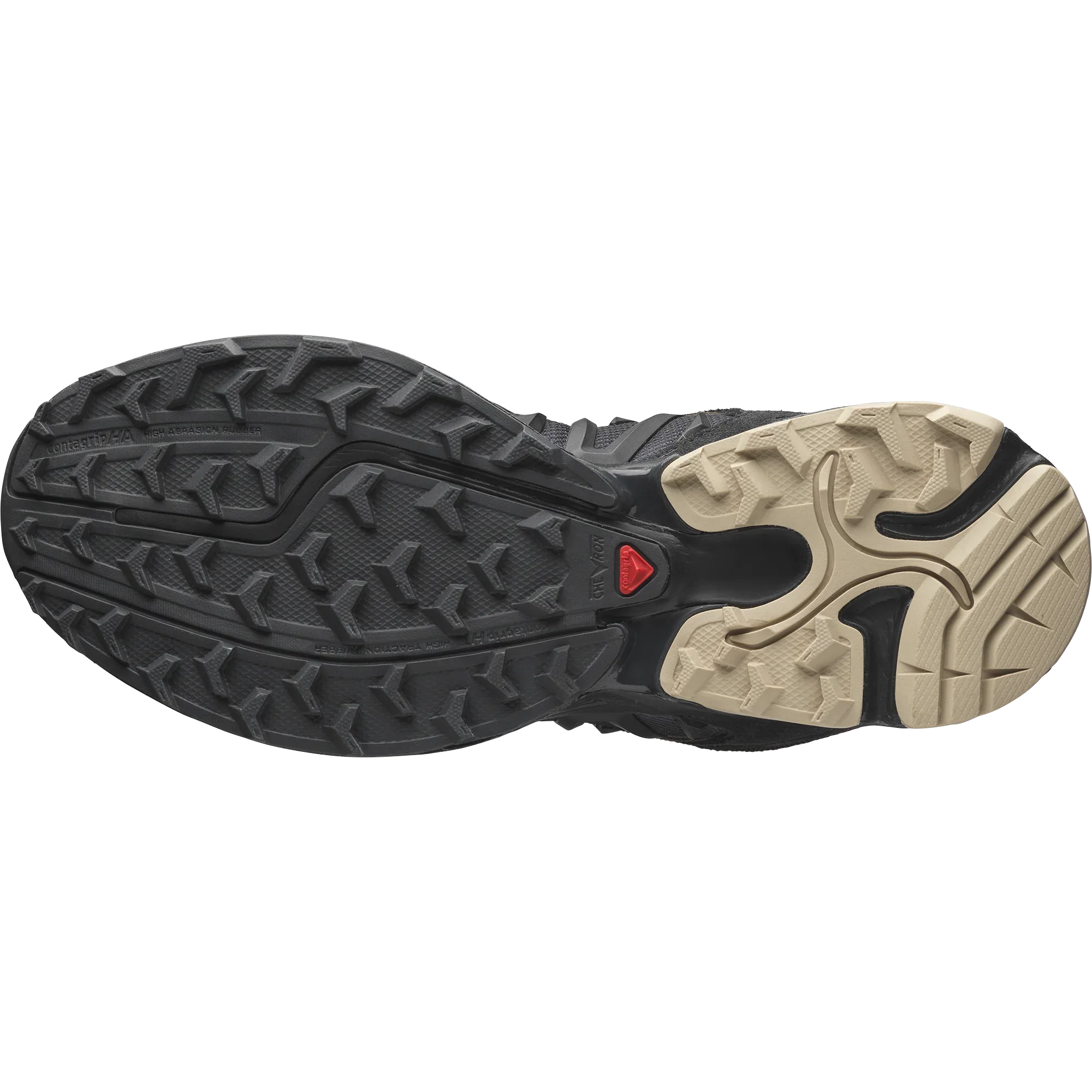 XT WHISPER ARIES - Chillpaw