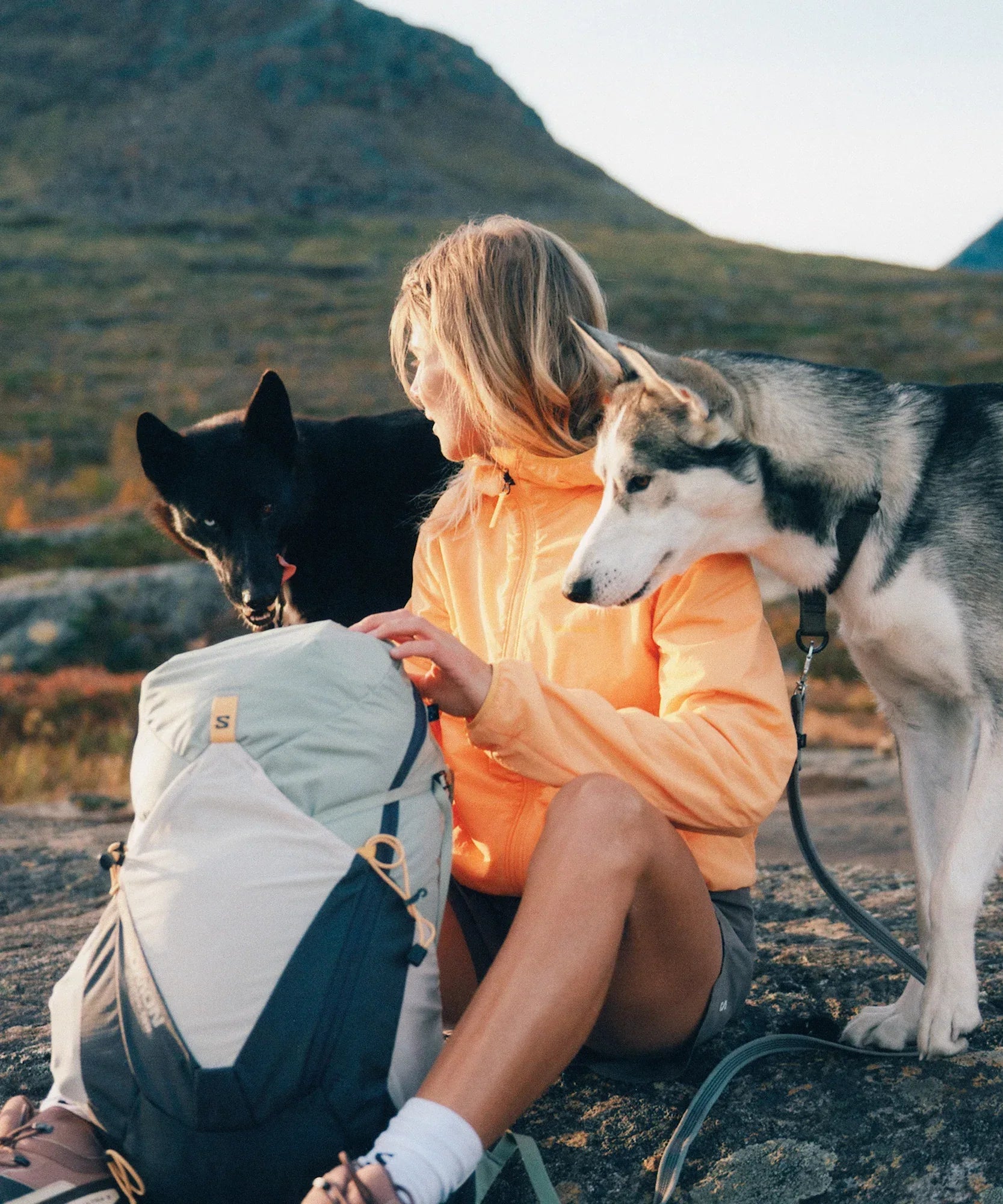 MOUNTAIN FLEX - Chillpaw