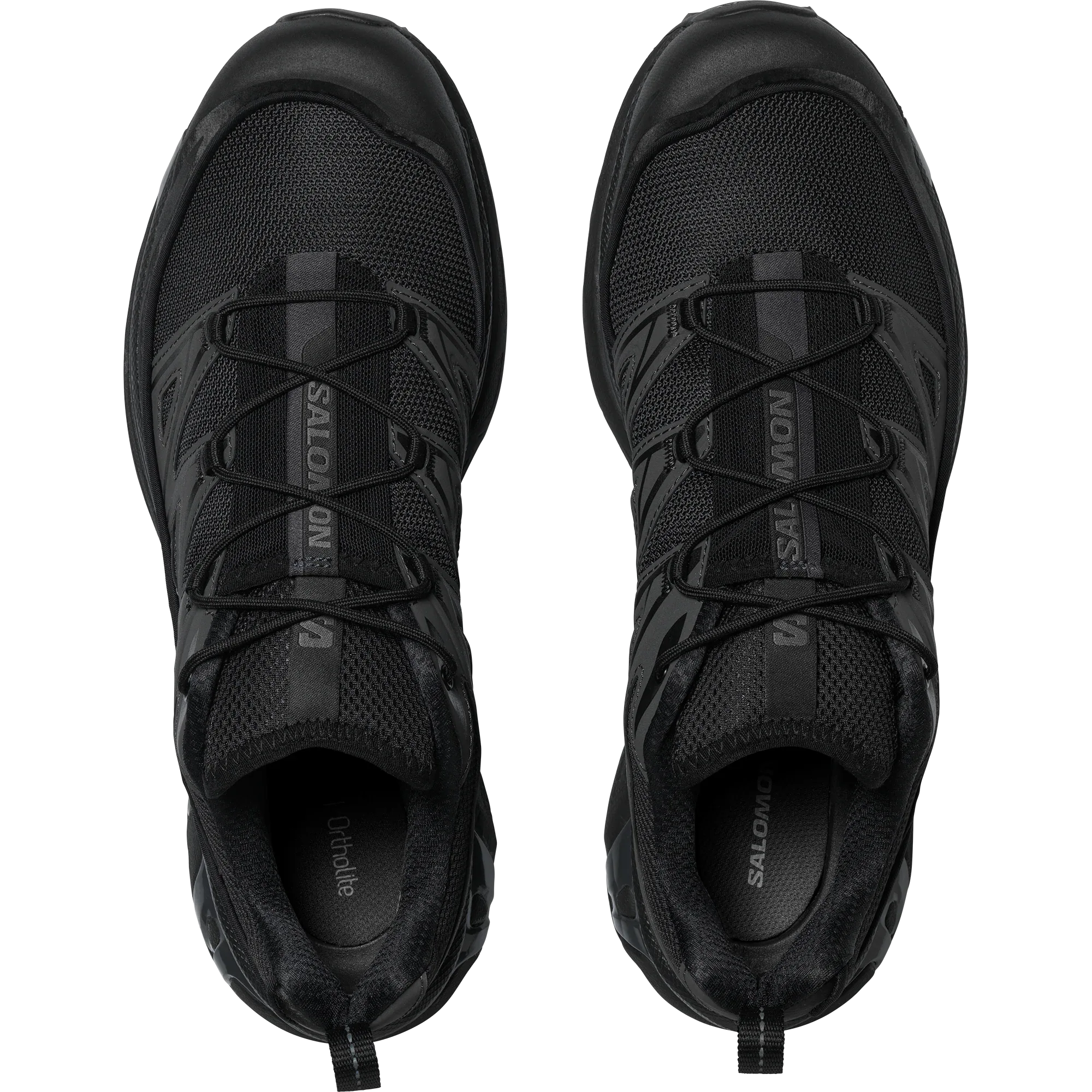 XT-6 EXPANSE - Chillpaw