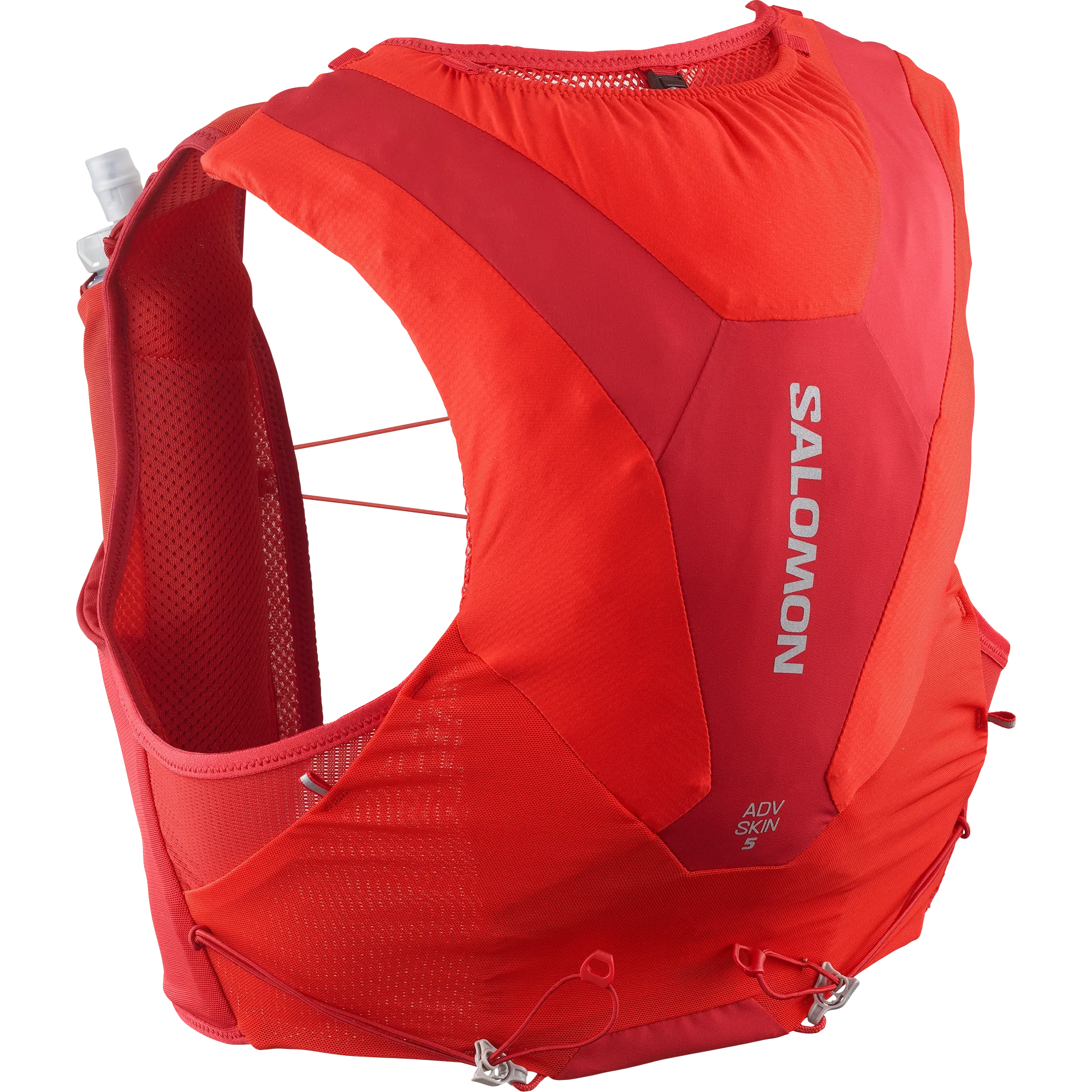 ADV SKIN 5 - Chillpaw