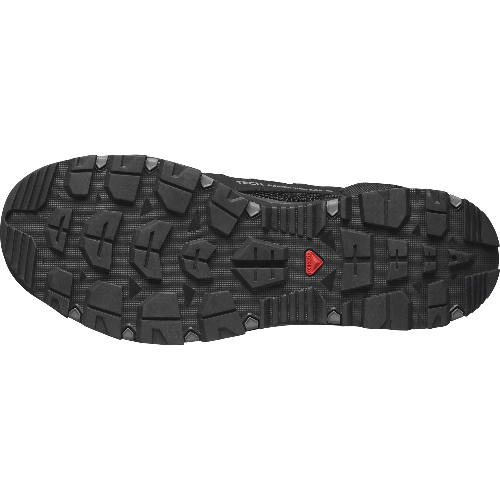 TECHAMPHIBIAN 5 - Chillpaw