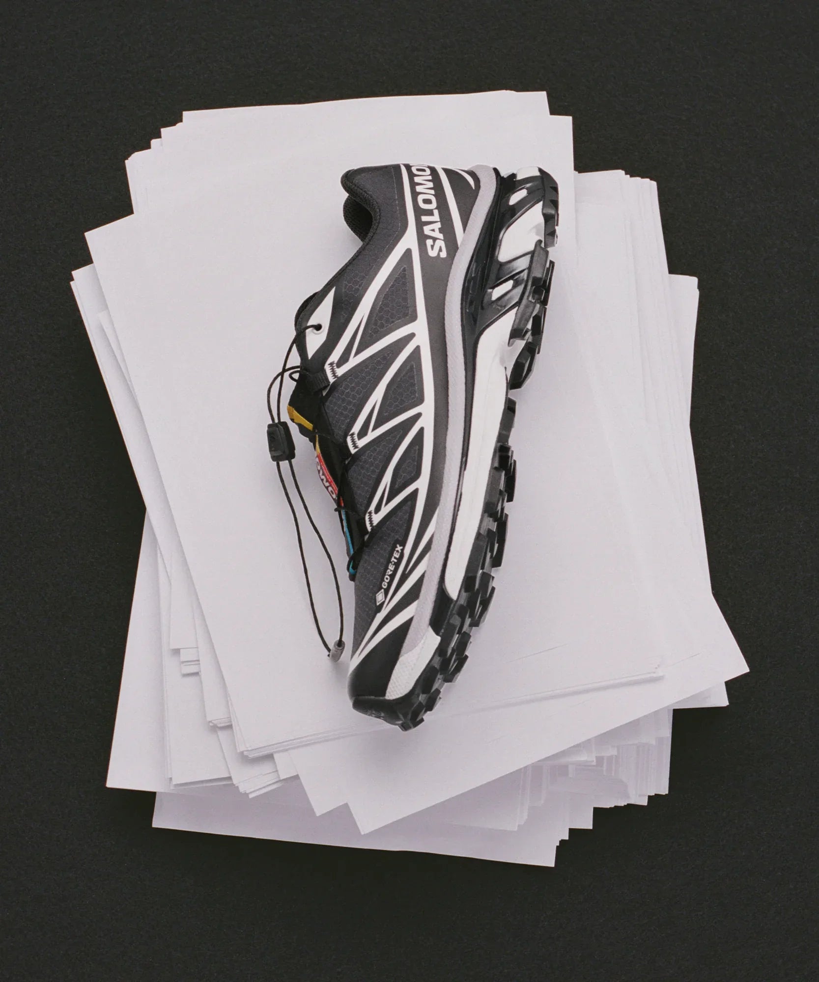 XT-6 GORE-TEX - Chillpaw