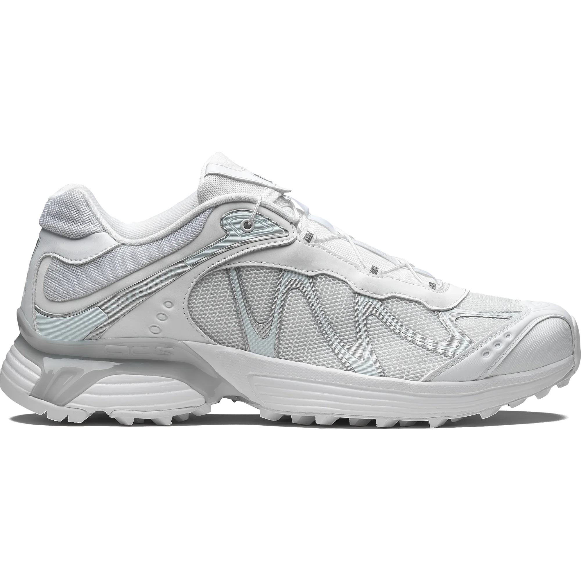 XT-WHISPER - Chillpaw