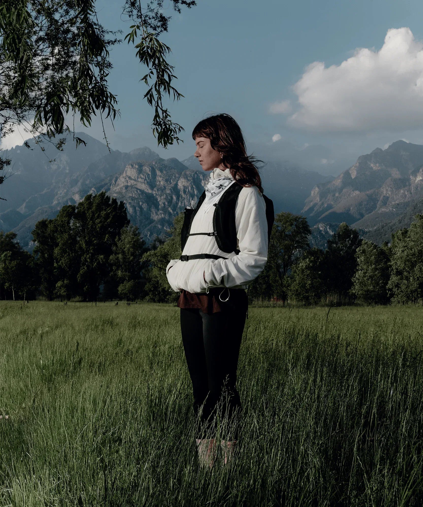 MOUNTAIN FLEX - Chillpaw