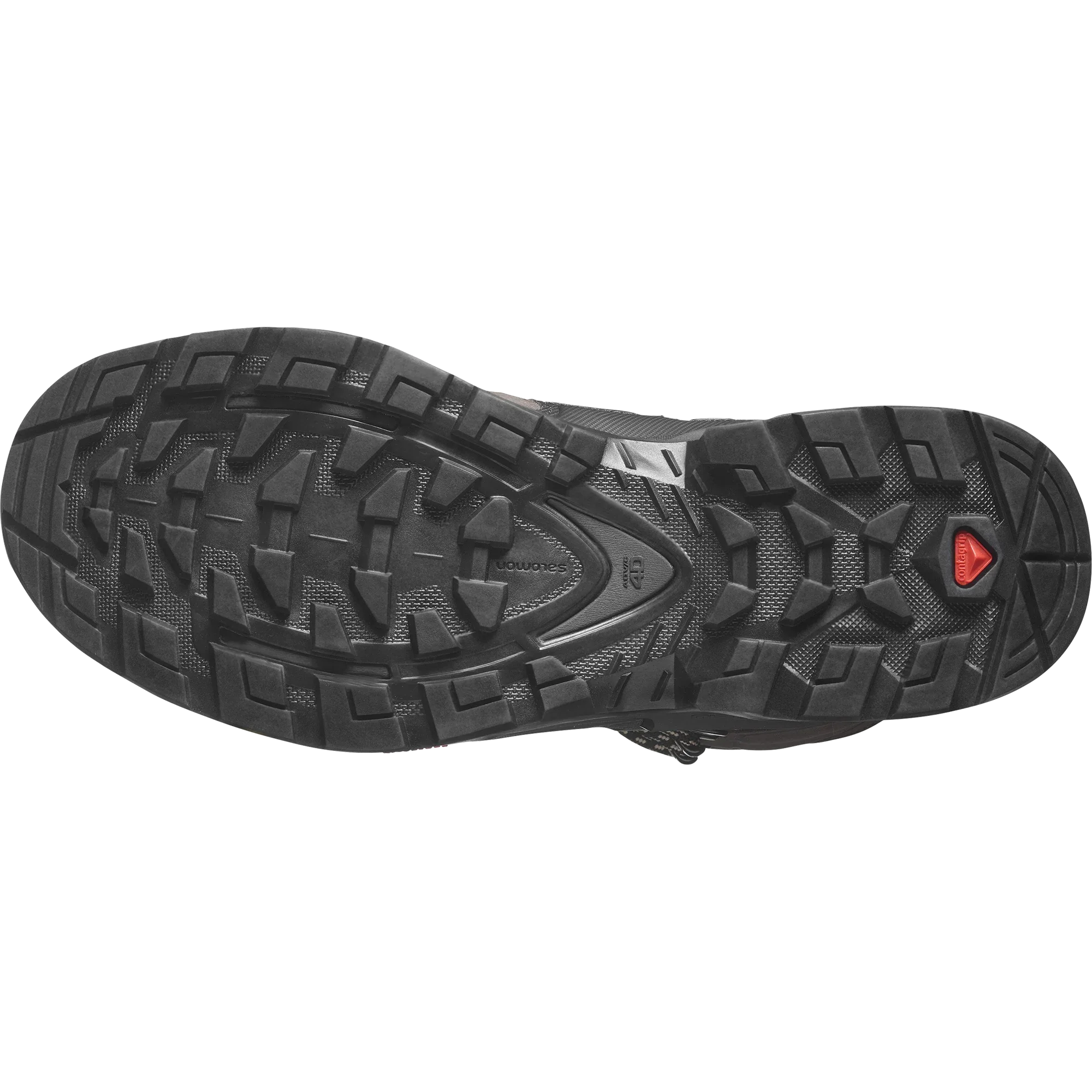 QUEST 4 GORE-TEX - Chillpaw