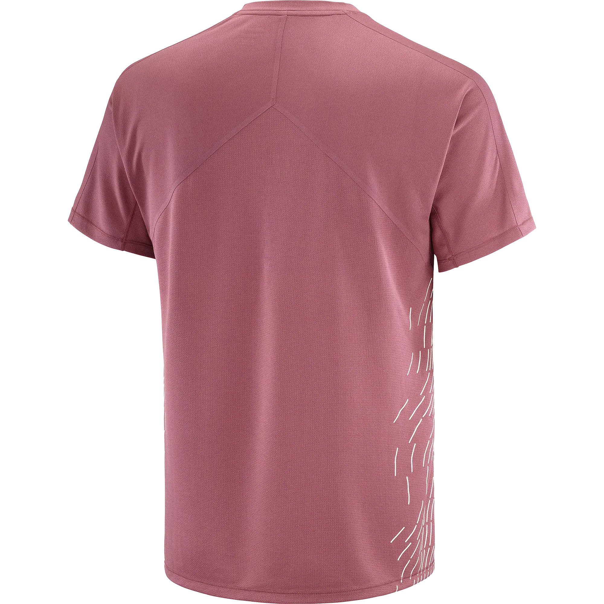 SENSE AERO GRAPHIC - Chillpaw