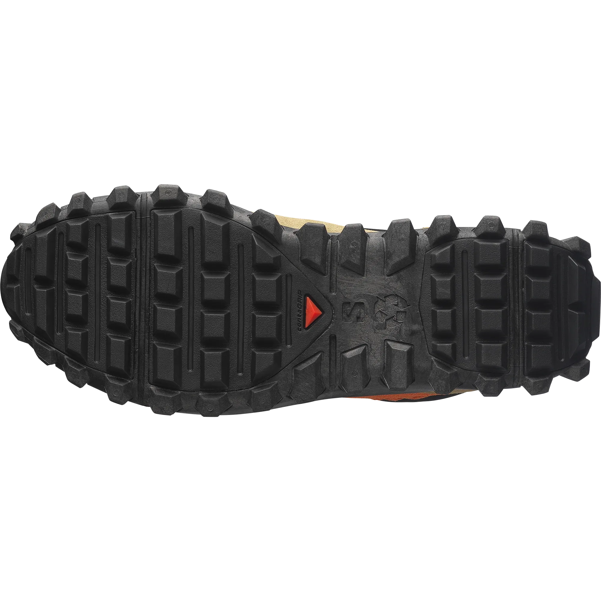 SNOWCLOG CORDUROY - Chillpaw