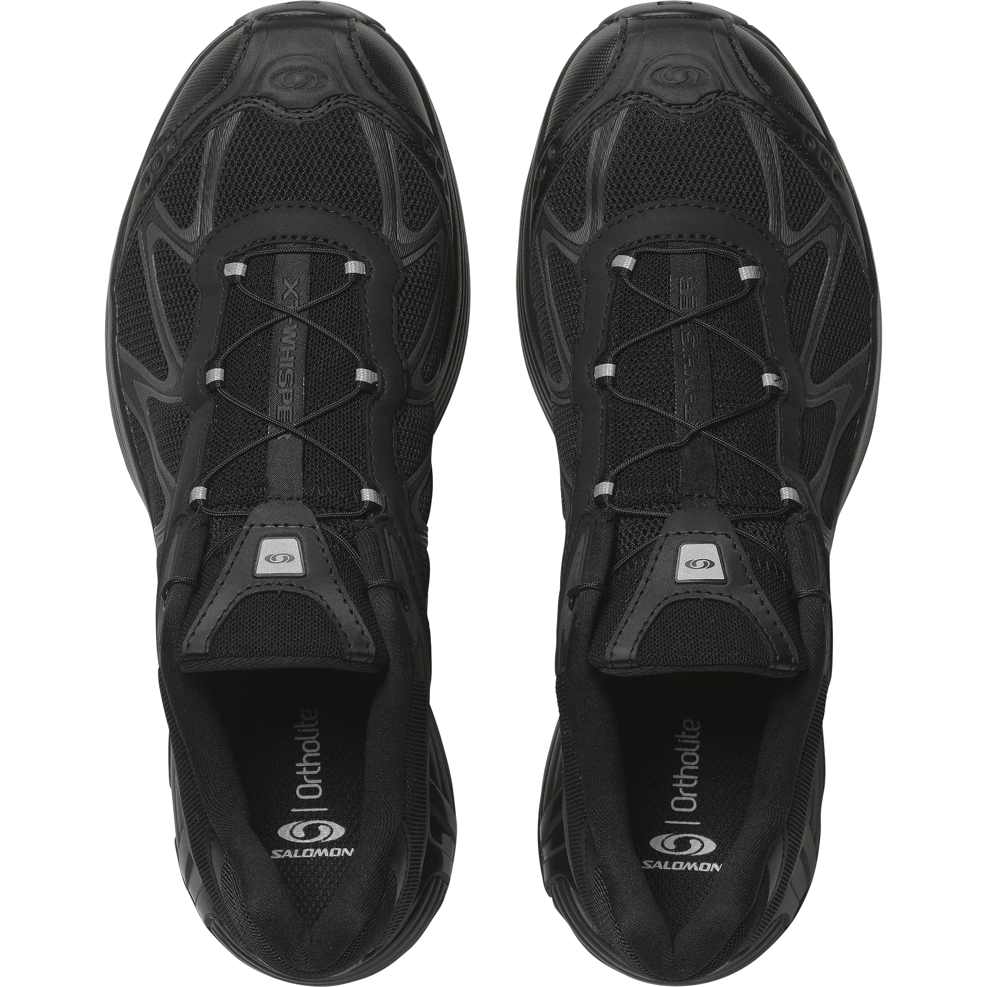 XT-WHISPER - Chillpaw