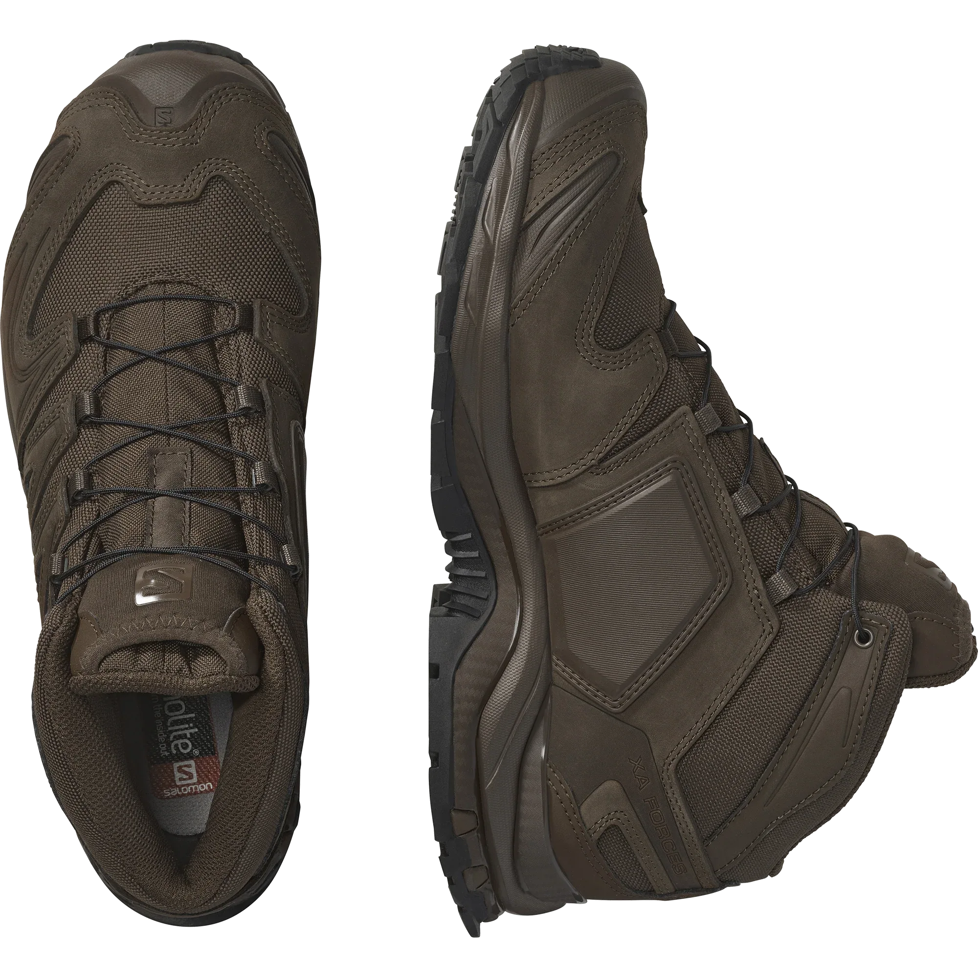 XA FORCES MID EN - Chillpaw