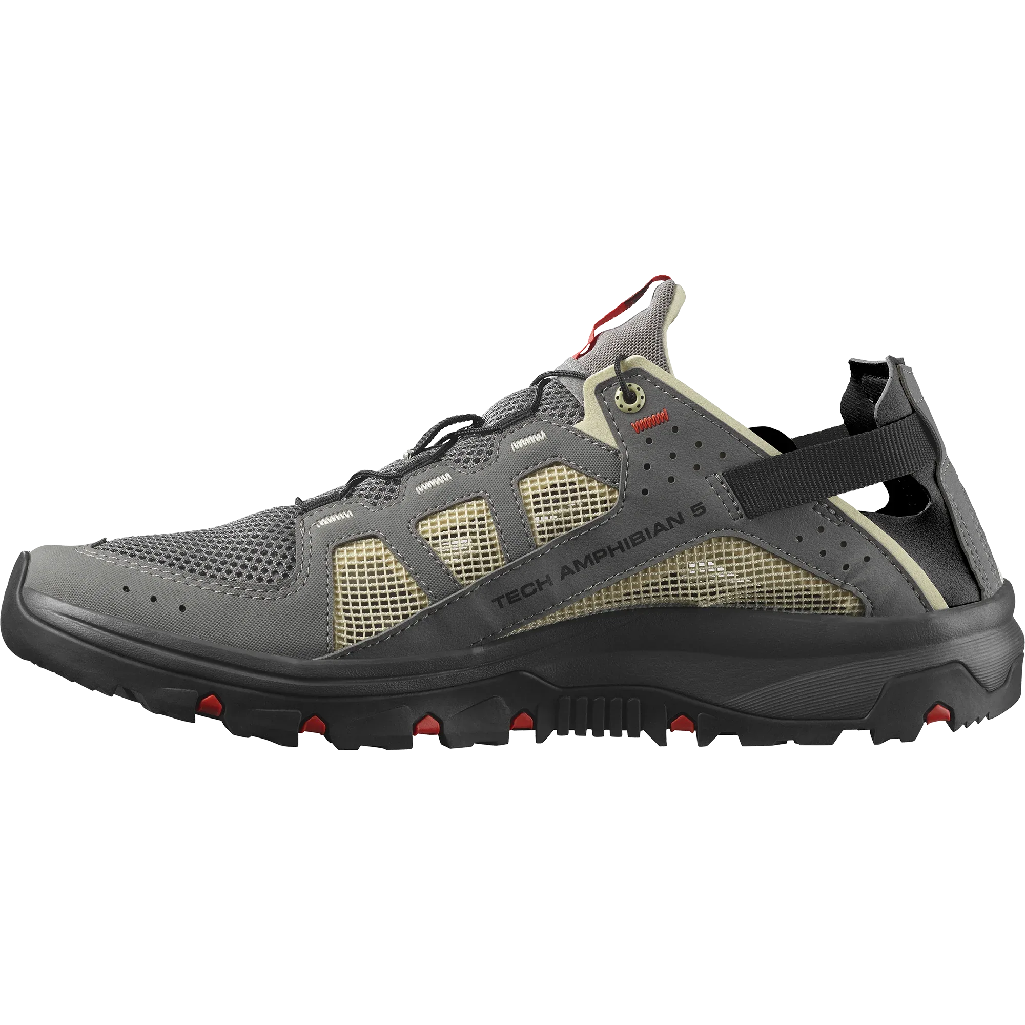 TECHAMPHIBIAN 5 - Chillpaw