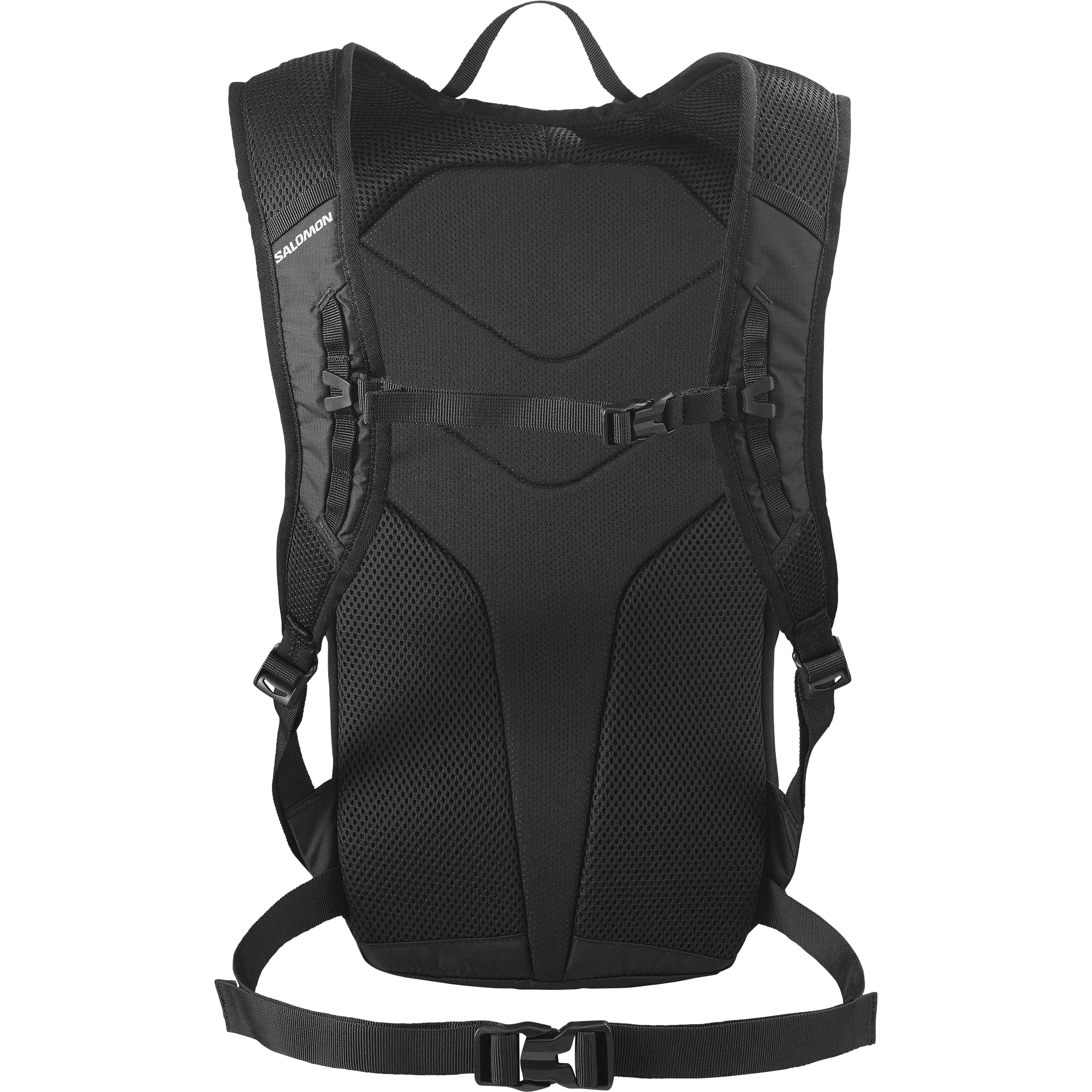 TRAILBLAZER 10 - Chillpaw