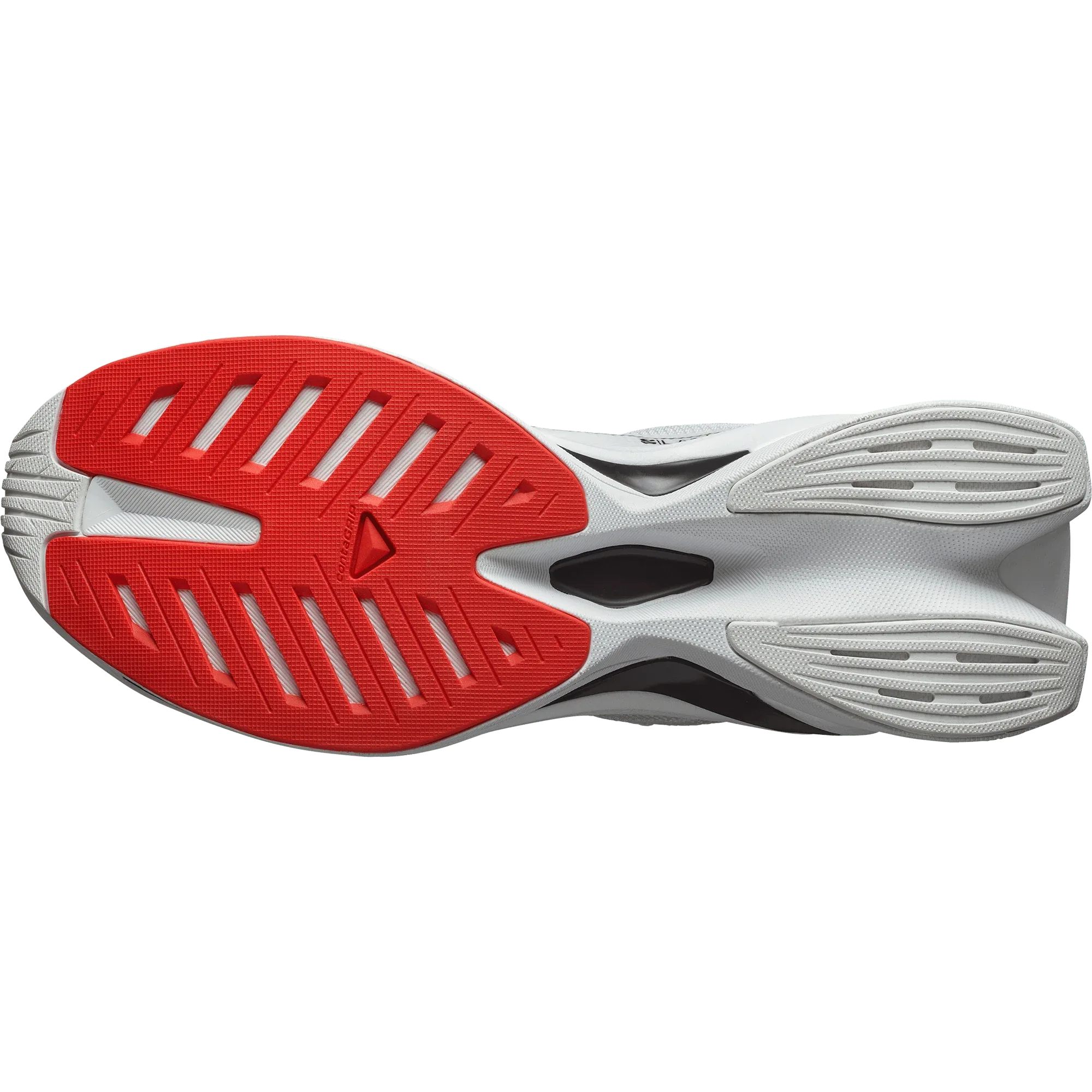 S/LAB SPECTUR - Chillpaw