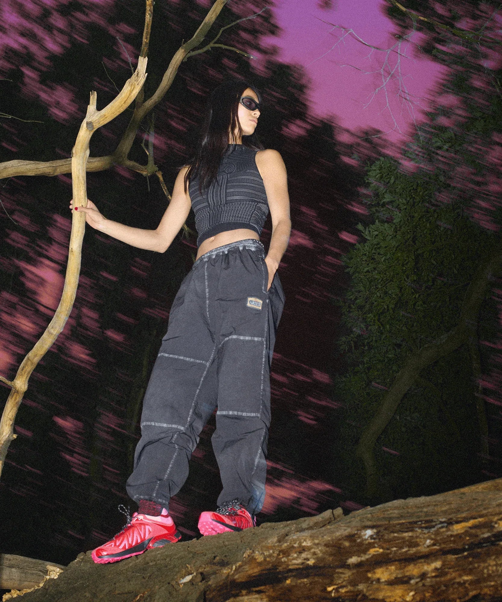 XT WHISPER ARIES - Chillpaw