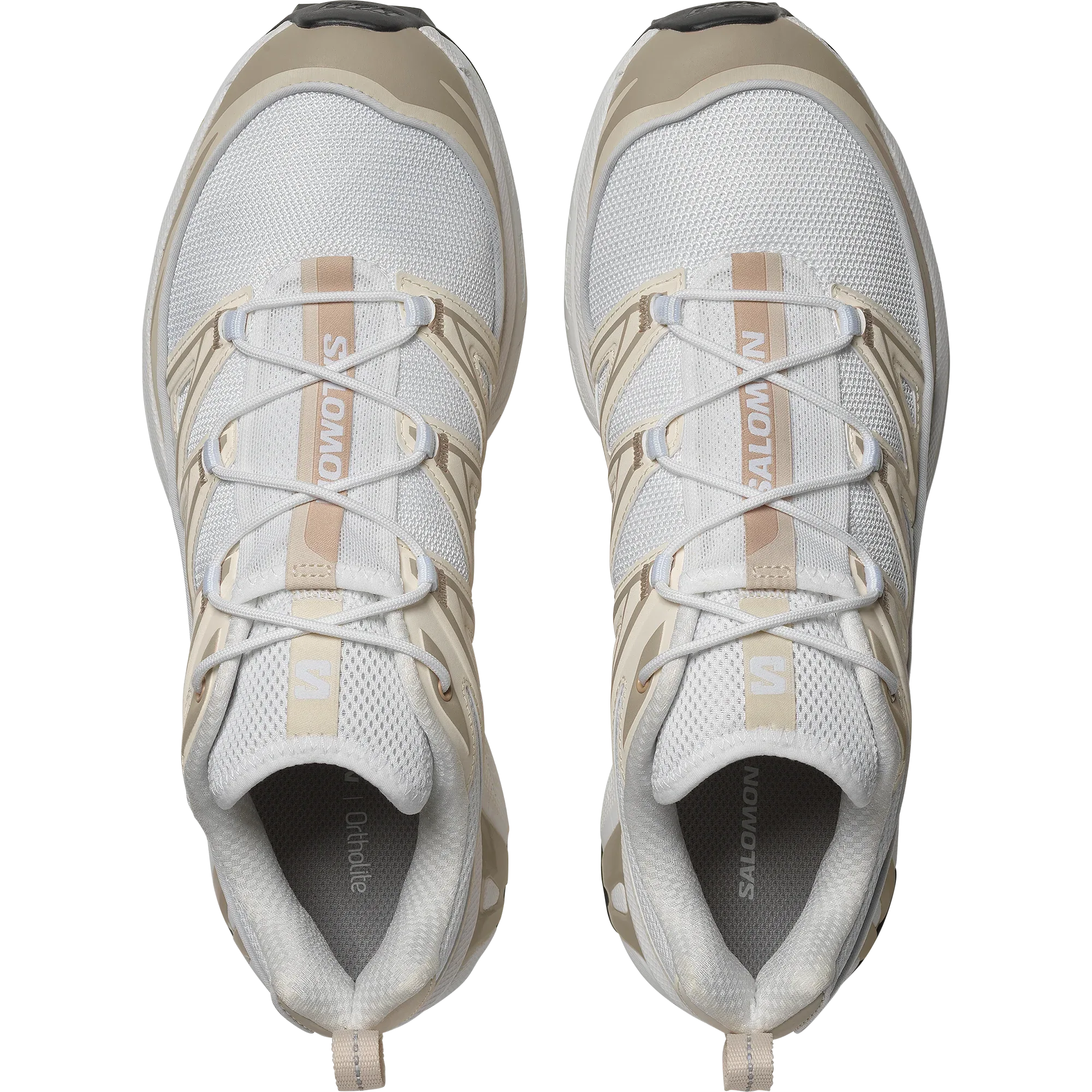 XT-6 EXPANSE - Chillpaw