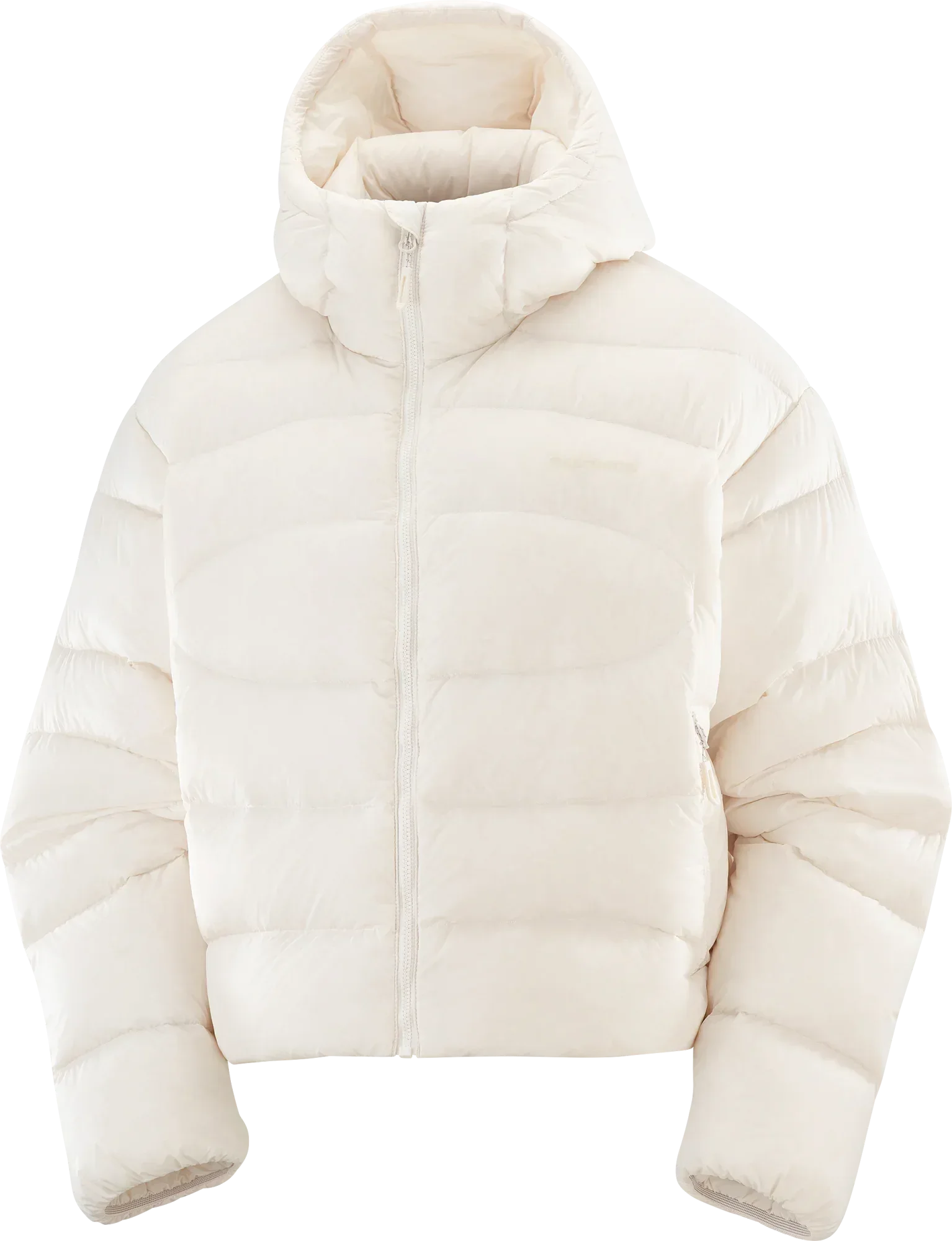 OUTLINE NOVELTY CROPPED DOWN - Chillpaw