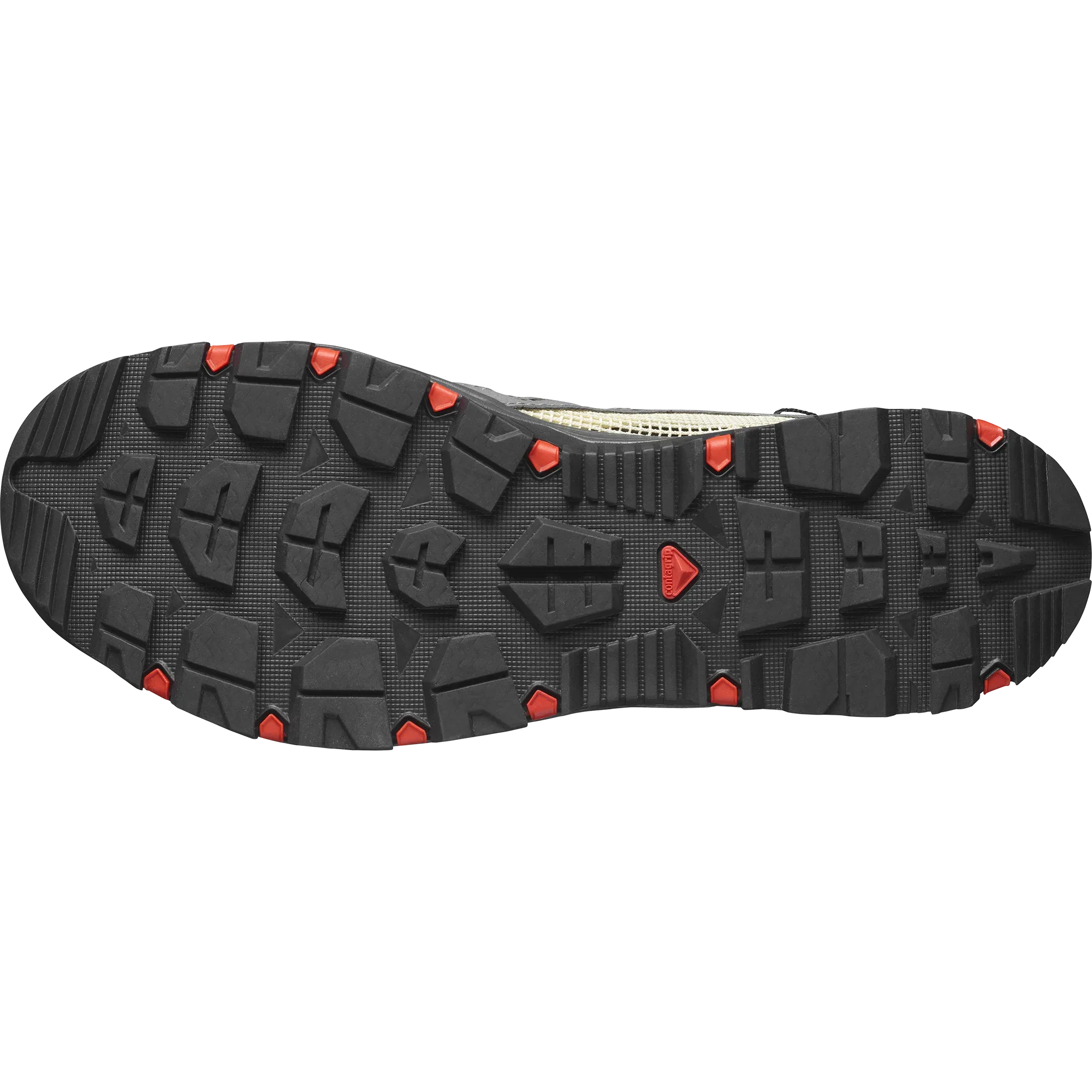 TECHAMPHIBIAN 5 - Chillpaw