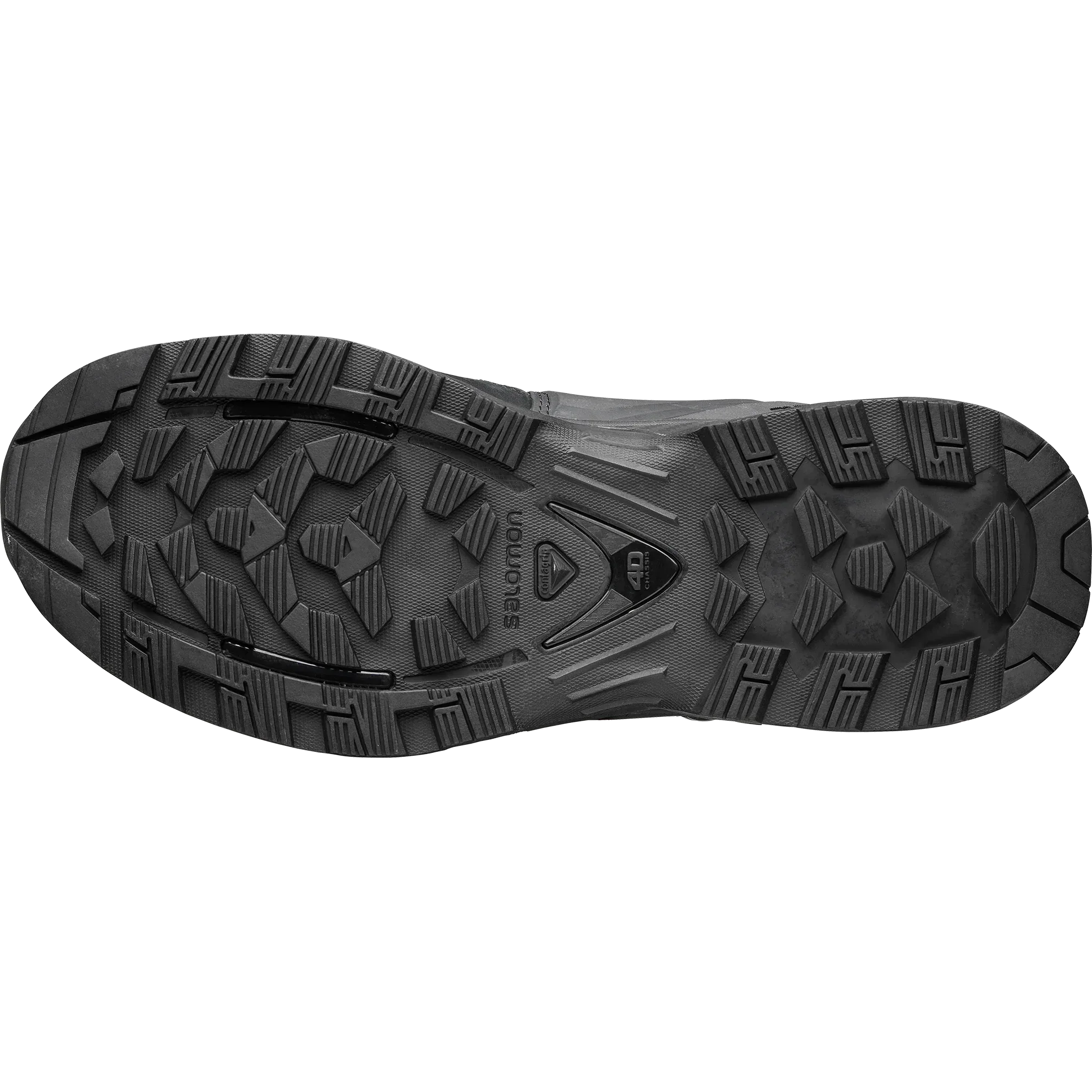 QUEST 4D FORCES 2 EN - Chillpaw