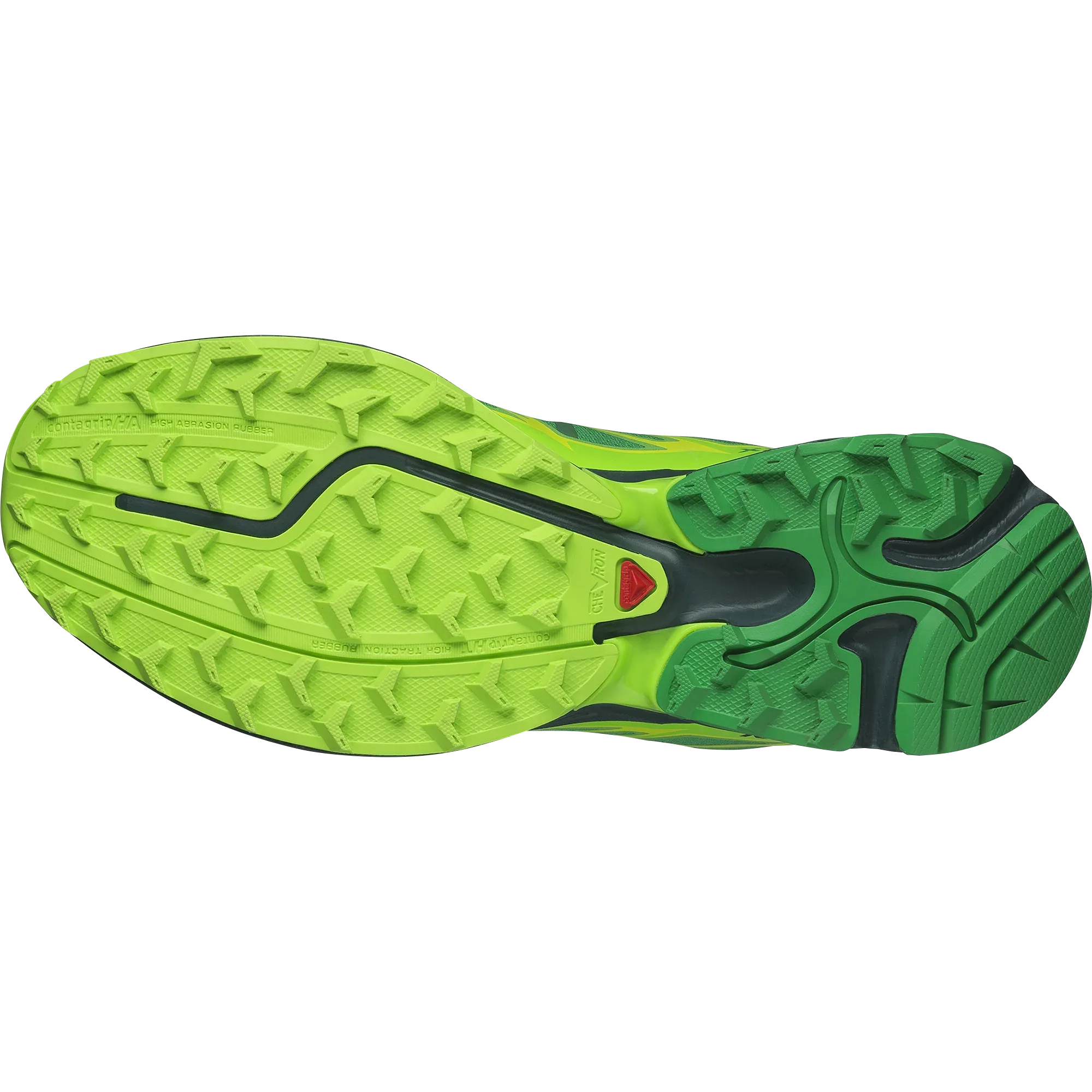 XT-PATHWAY 2 FERXXO - Chillpaw