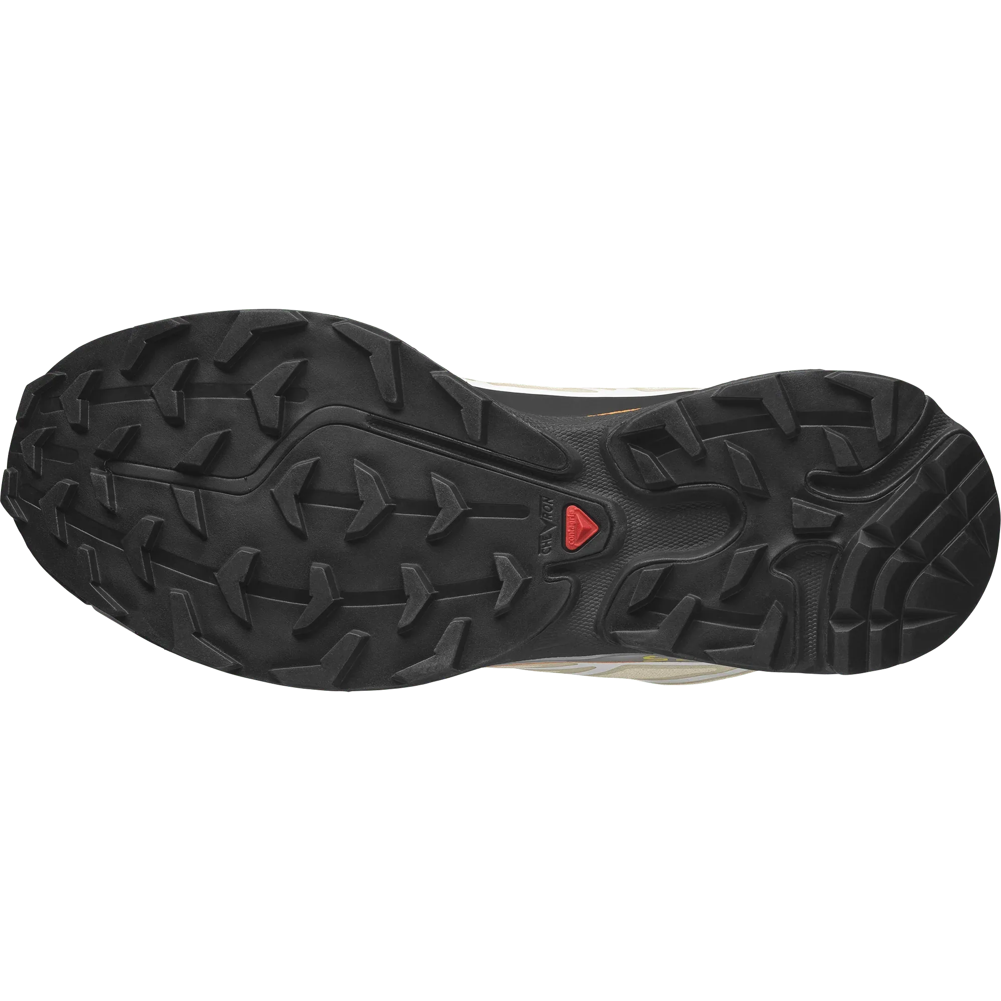 XT-6 ANDREW - Chillpaw