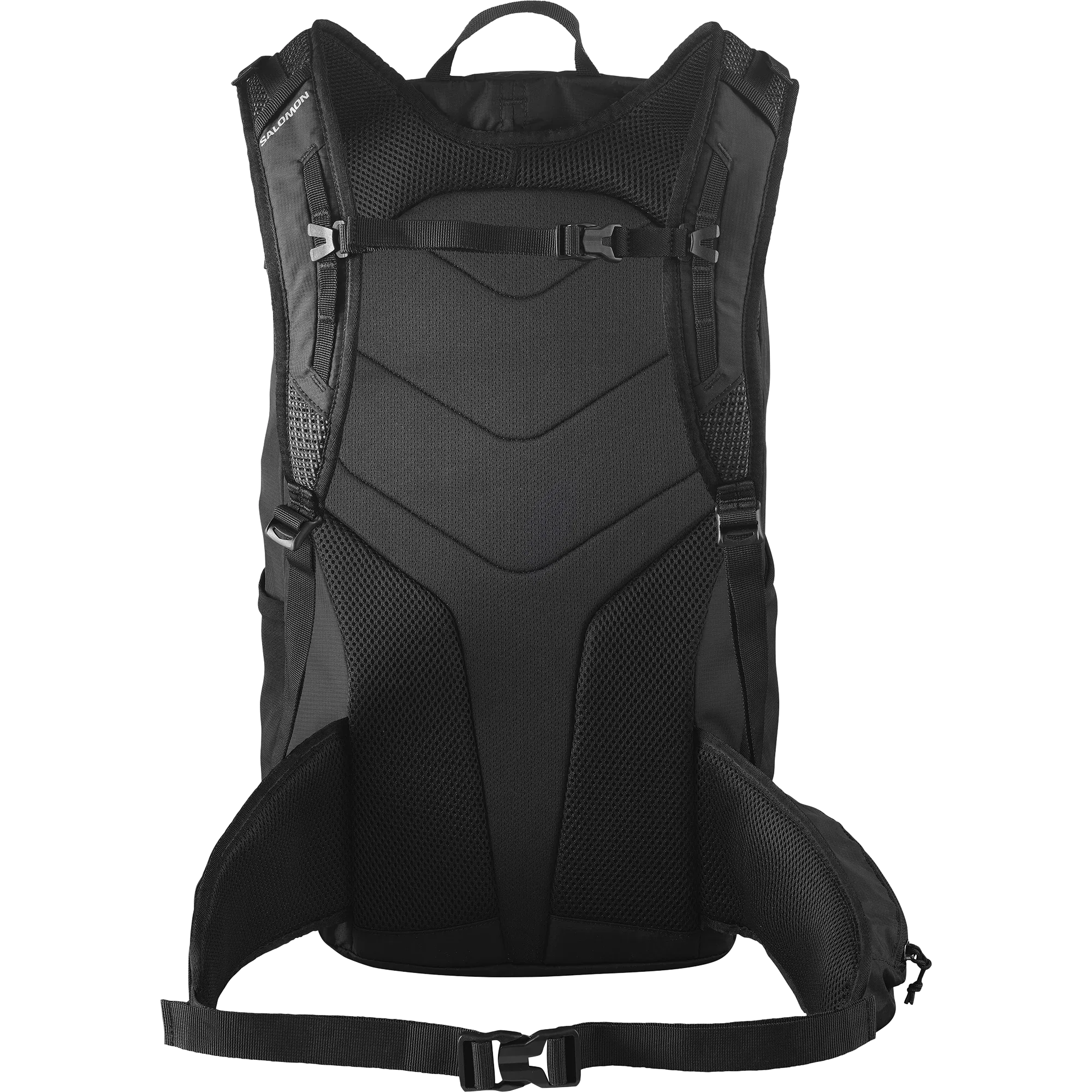 TRAILBLAZER 30 - Chillpaw