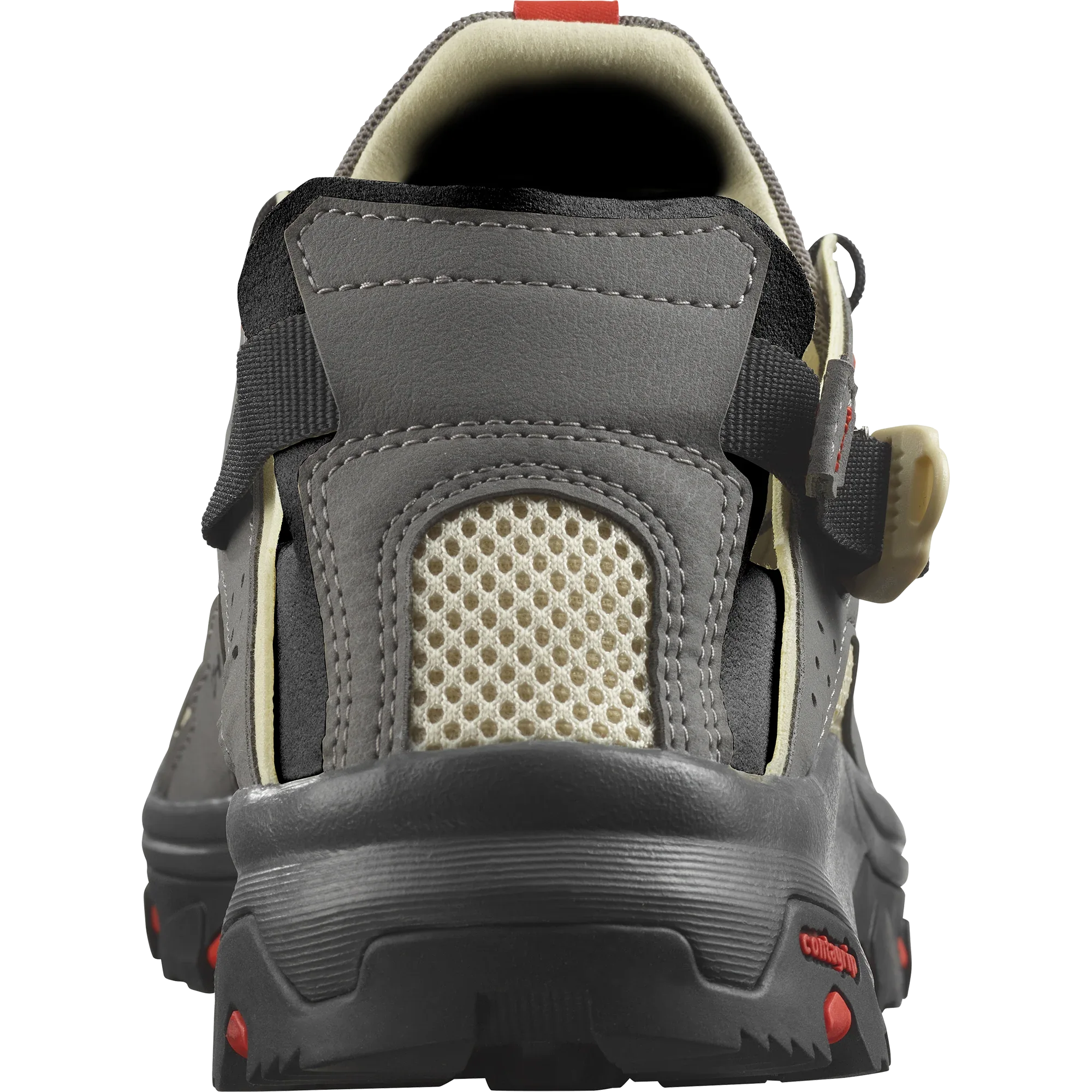 TECHAMPHIBIAN 5 - Chillpaw