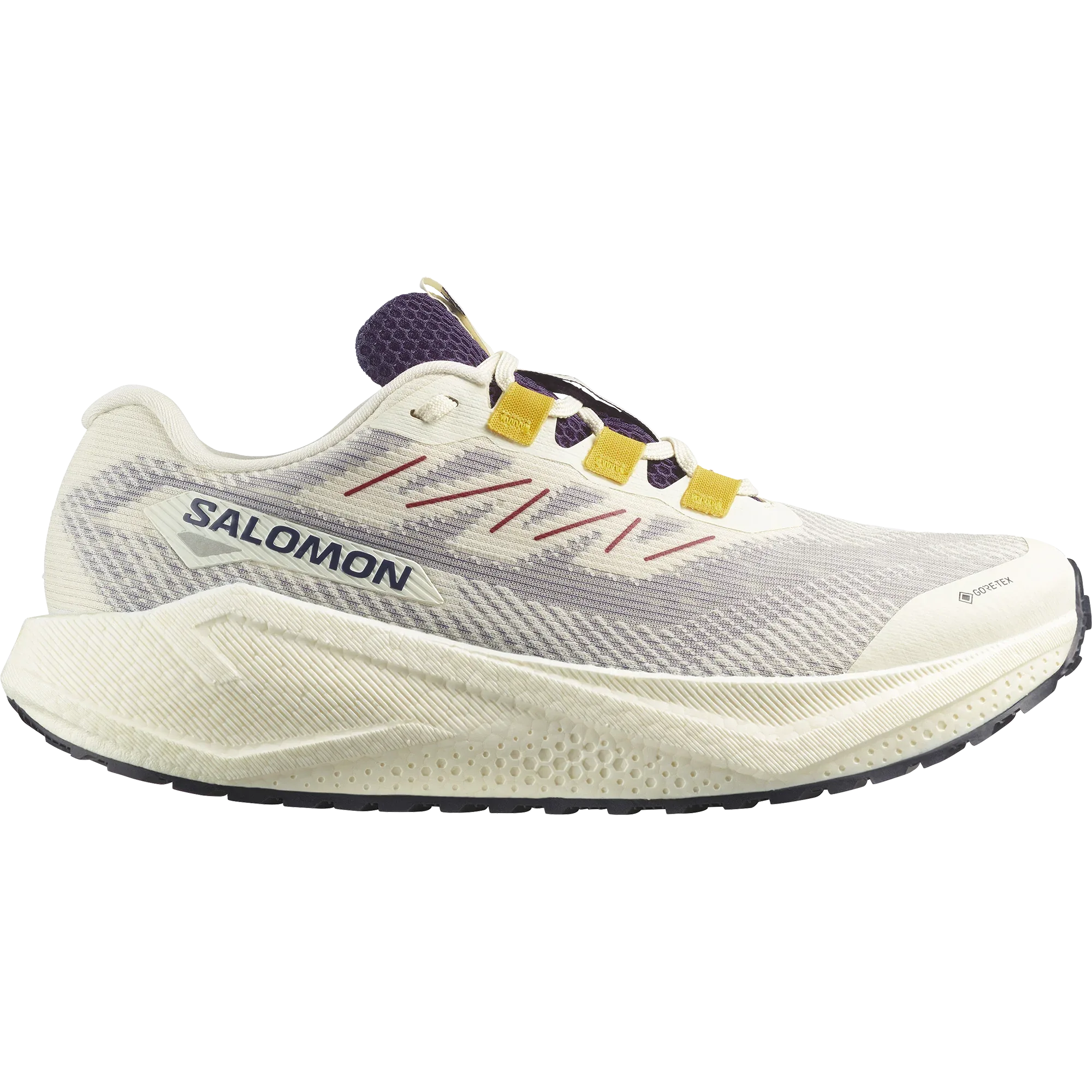 AERO BLAZE 3 GRVL GORE-TEX - Chillpaw