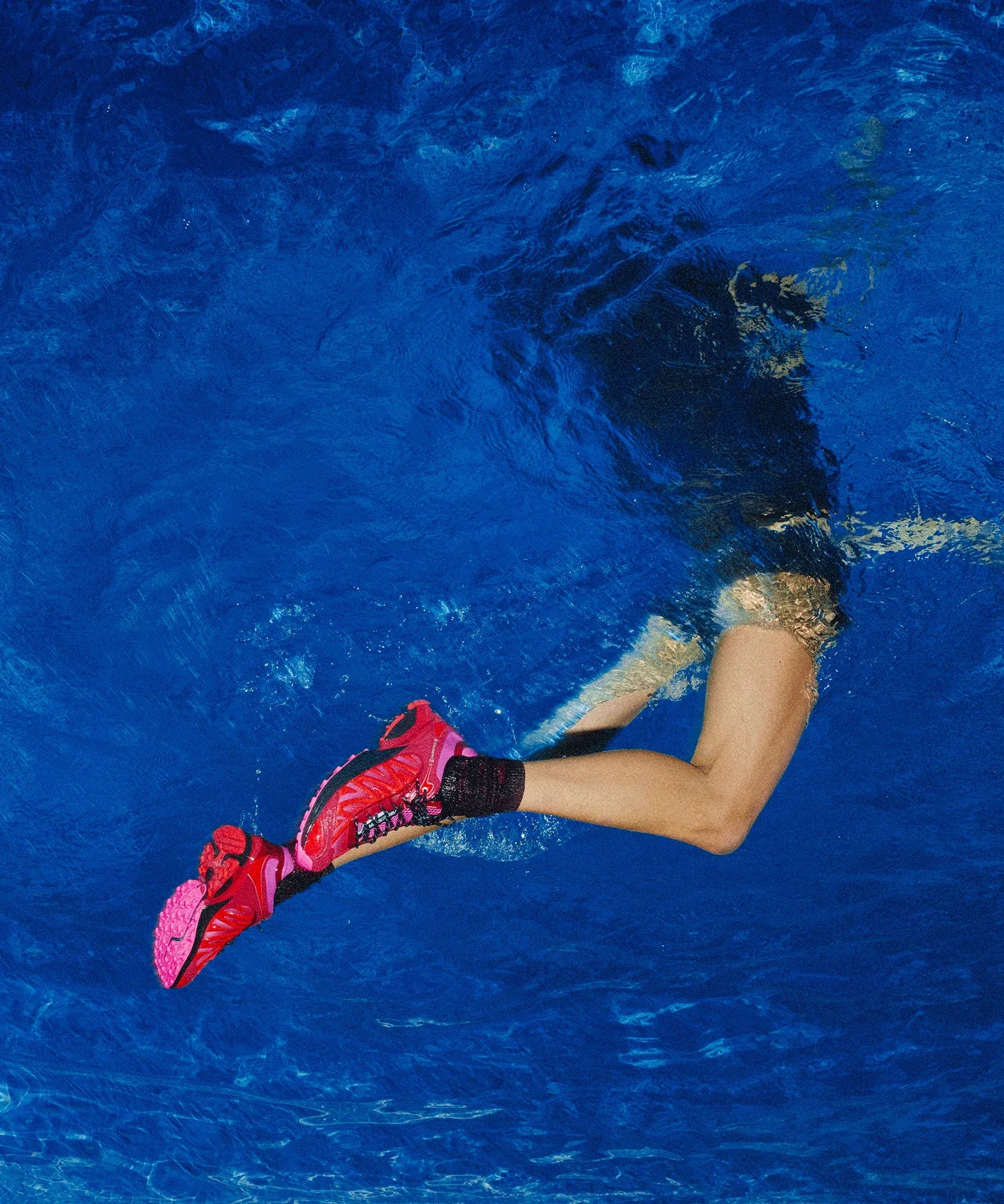 XT WHISPER ARIES - Chillpaw