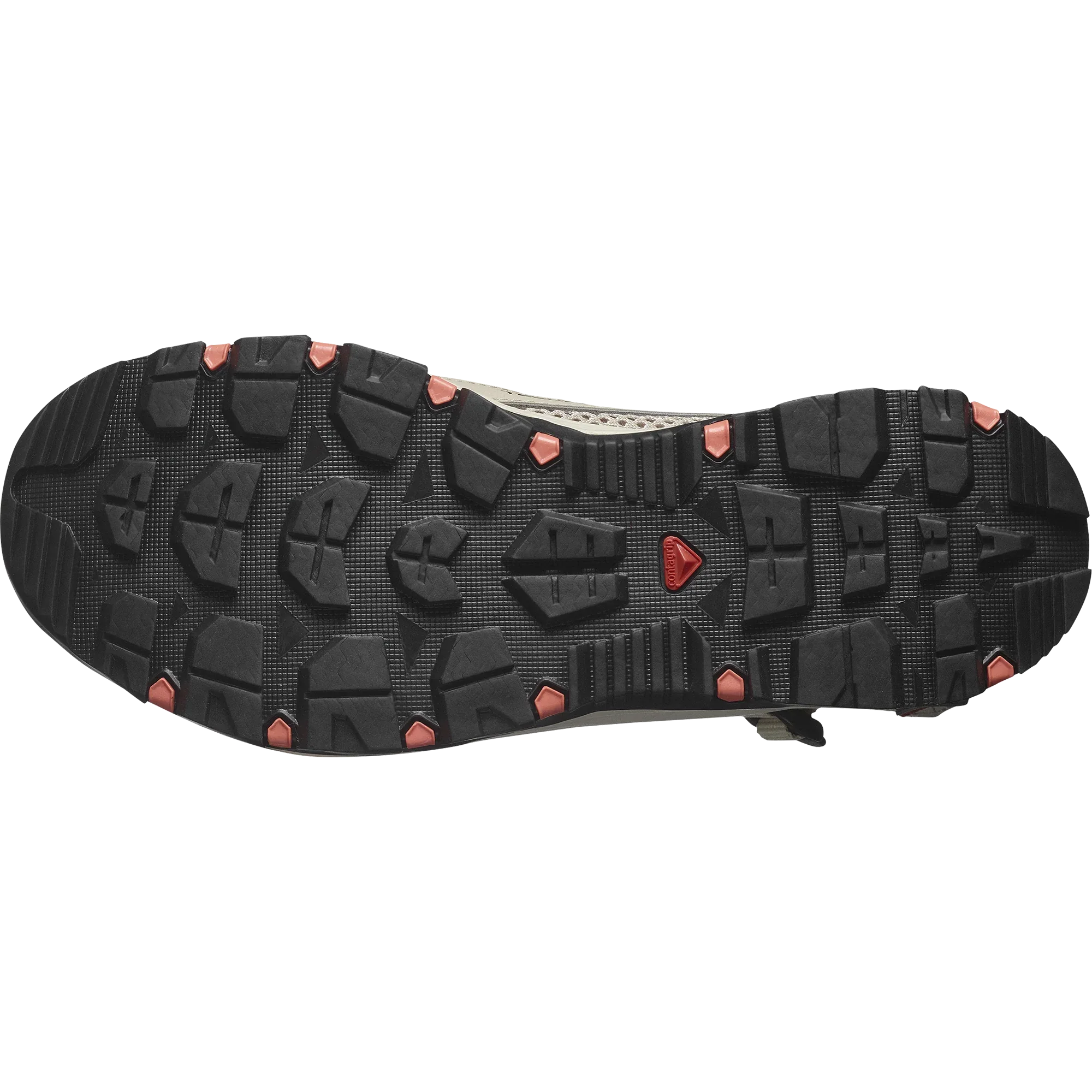 TECHAMPHIBIAN 5 - Chillpaw