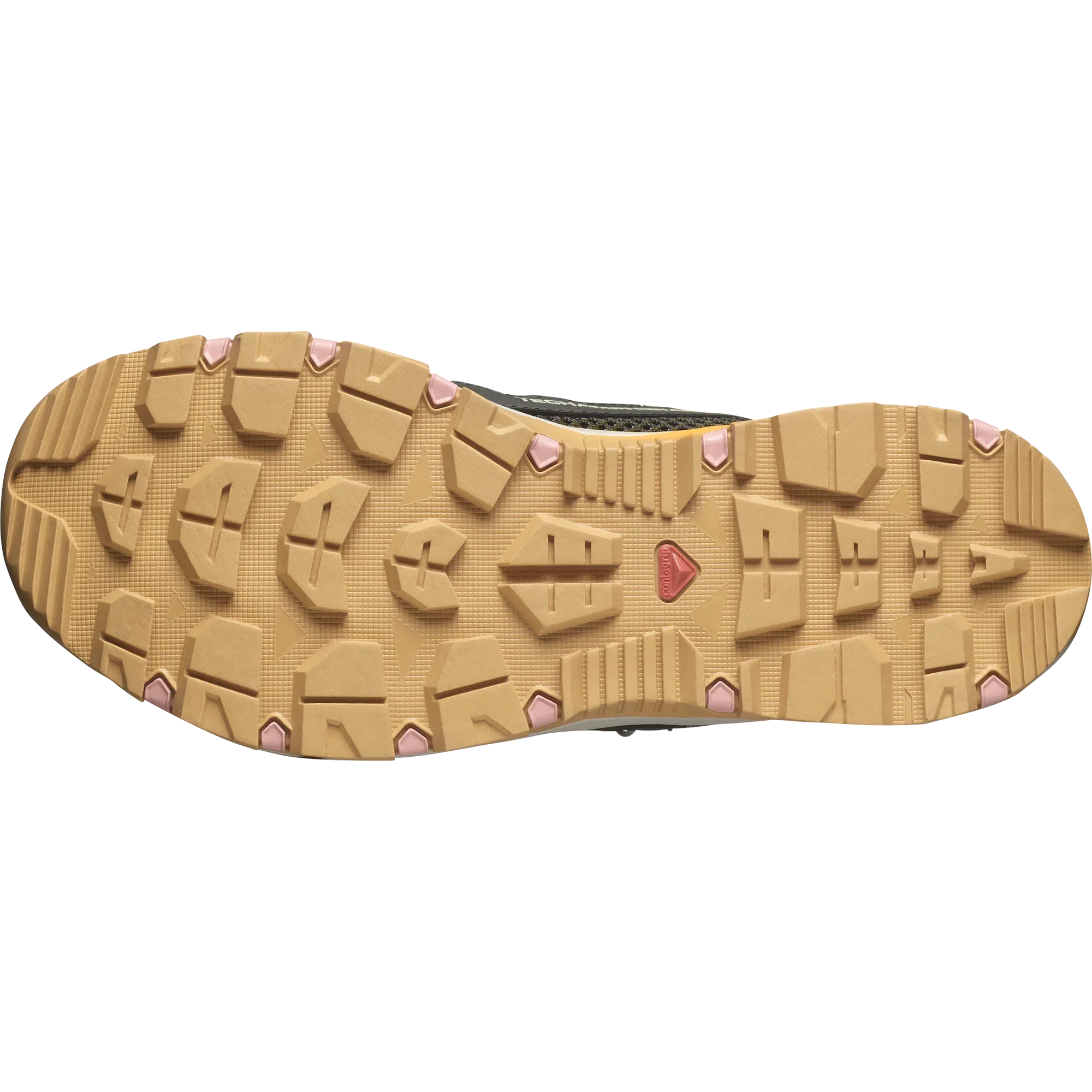 TECHAMPHIBIAN 5 - Chillpaw