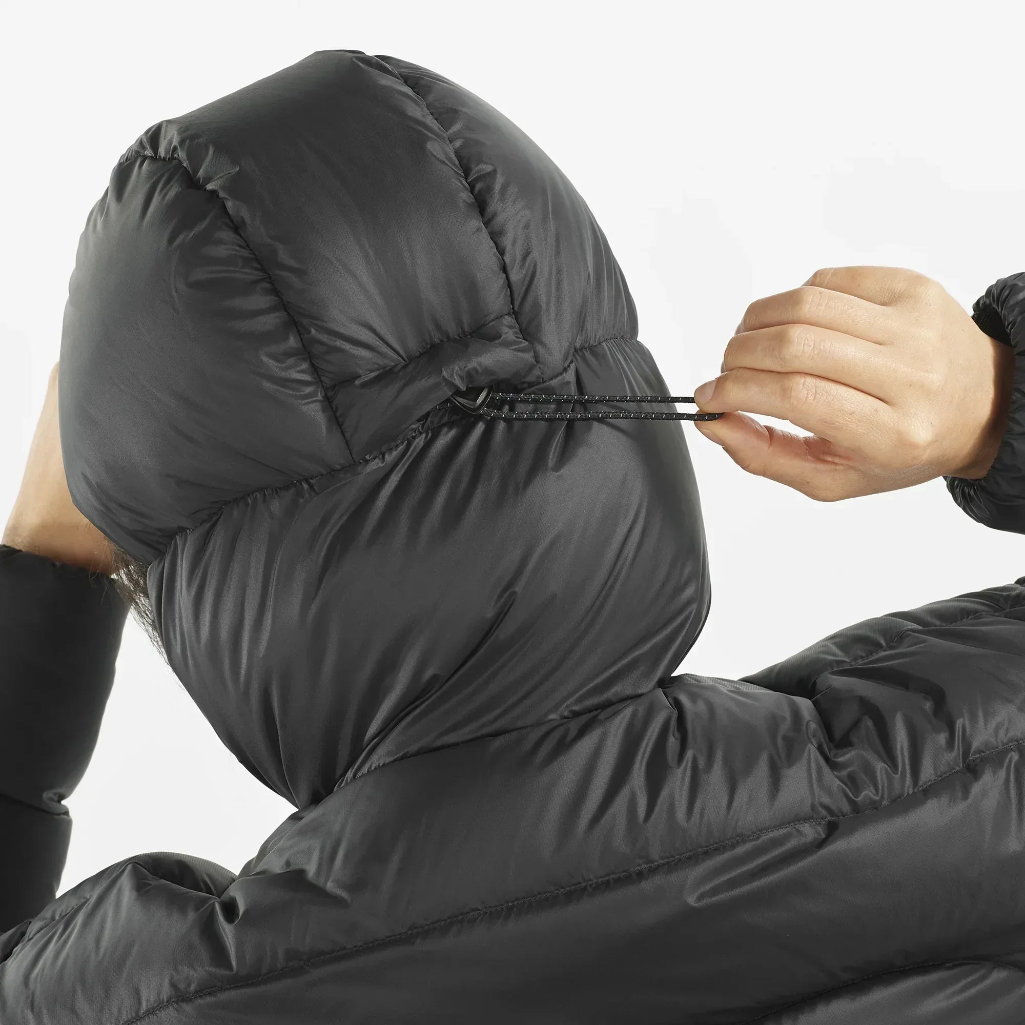 OUTLINE NOVELTY CROPPED DOWN - Chillpaw