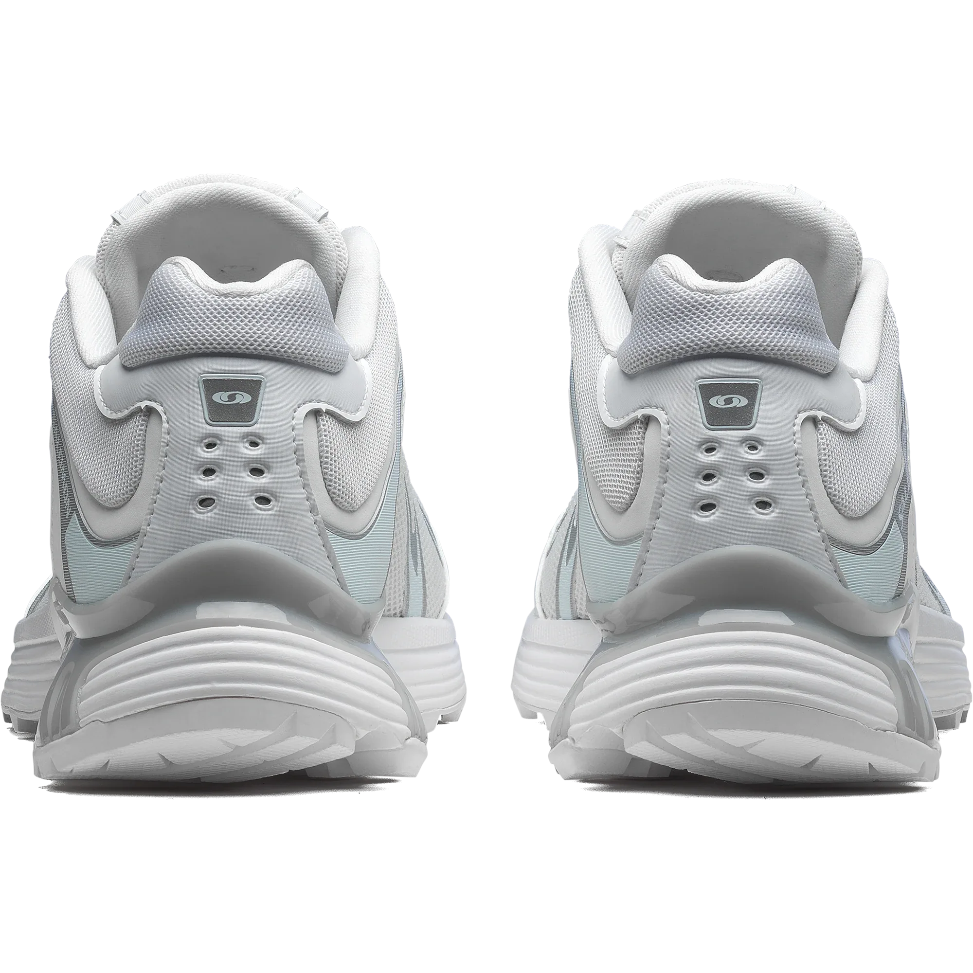 XT-WHISPER - Chillpaw