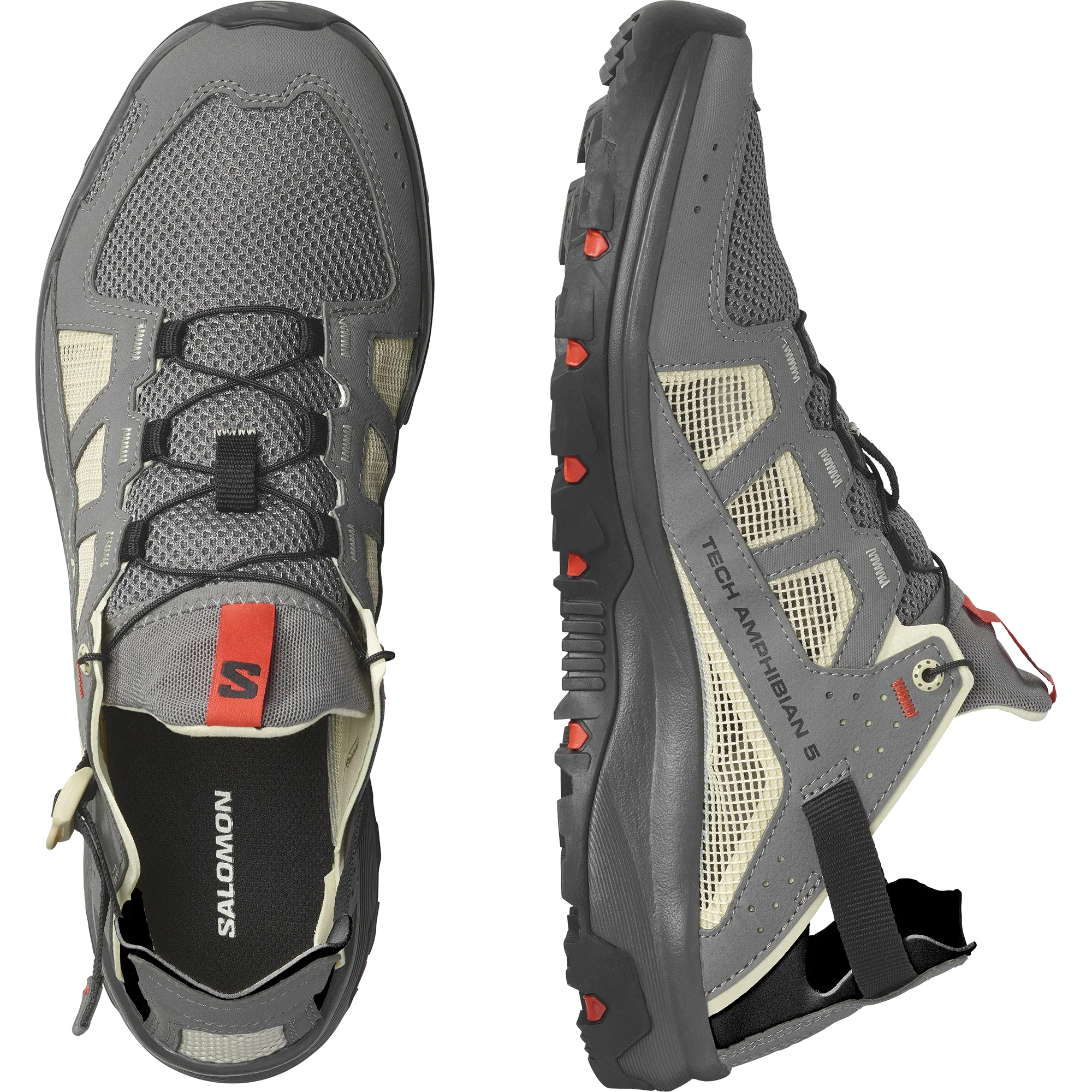 TECHAMPHIBIAN 5 - Chillpaw