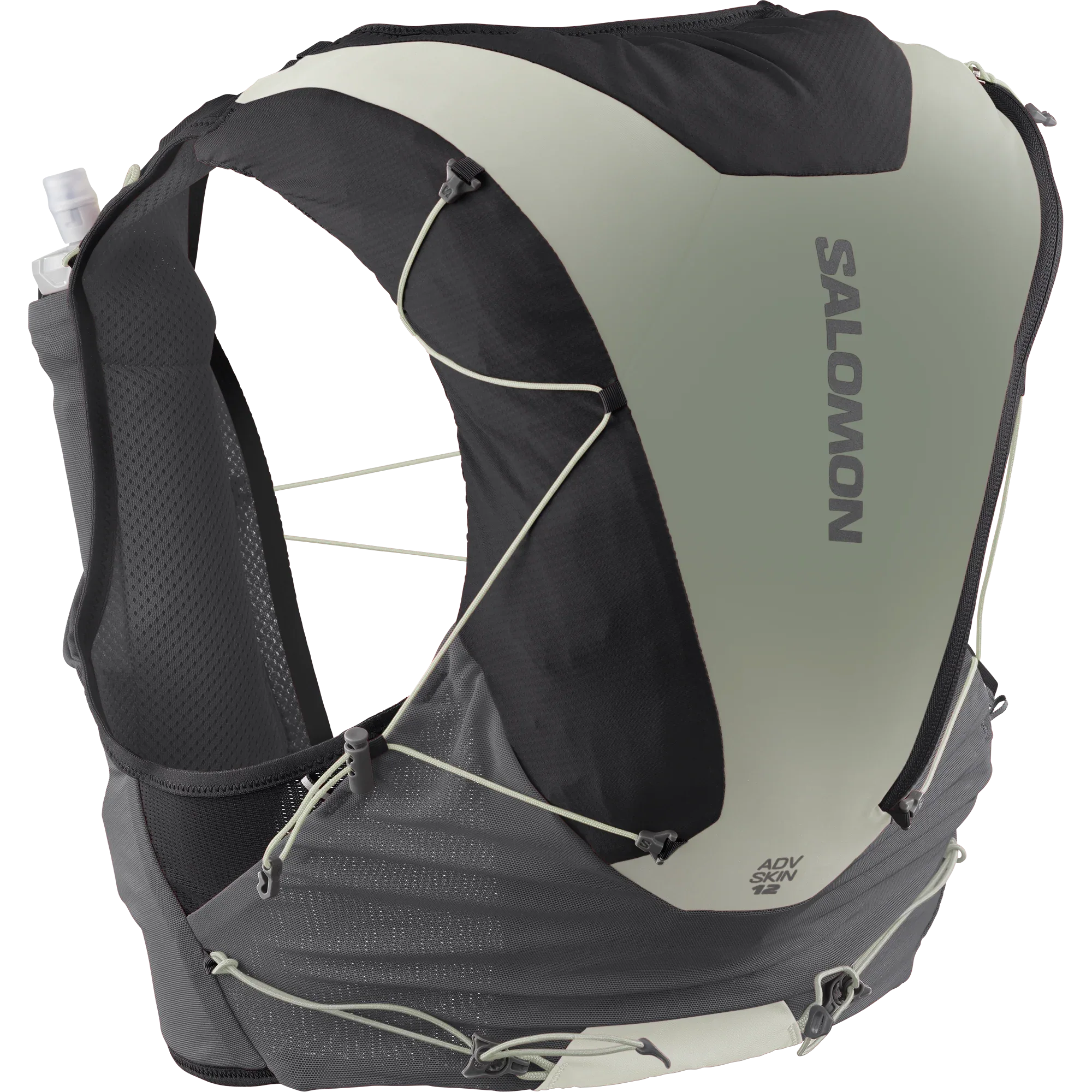 ADV SKIN 12 GRADIENT - Chillpaw