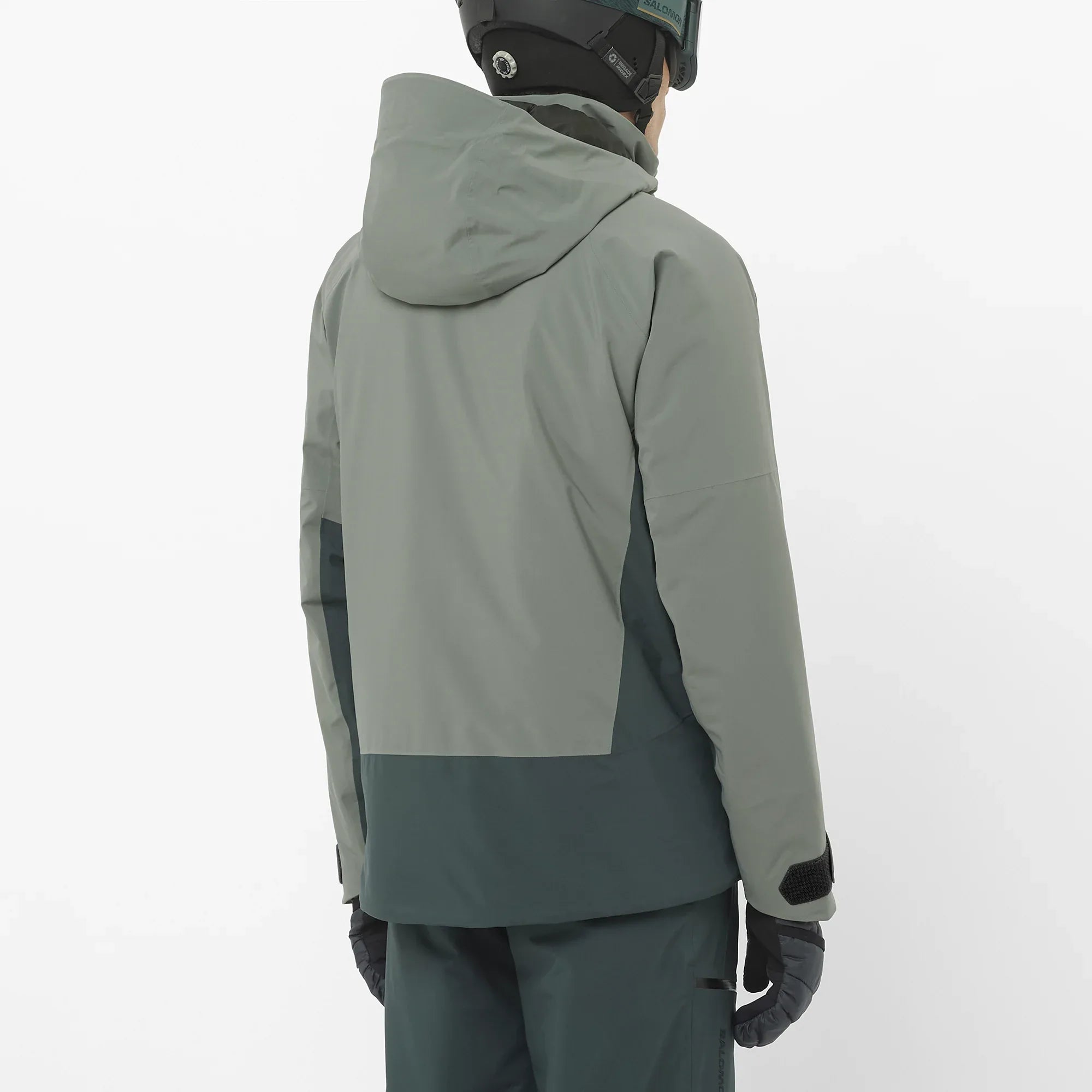 BRILLIANT - Chillpaw