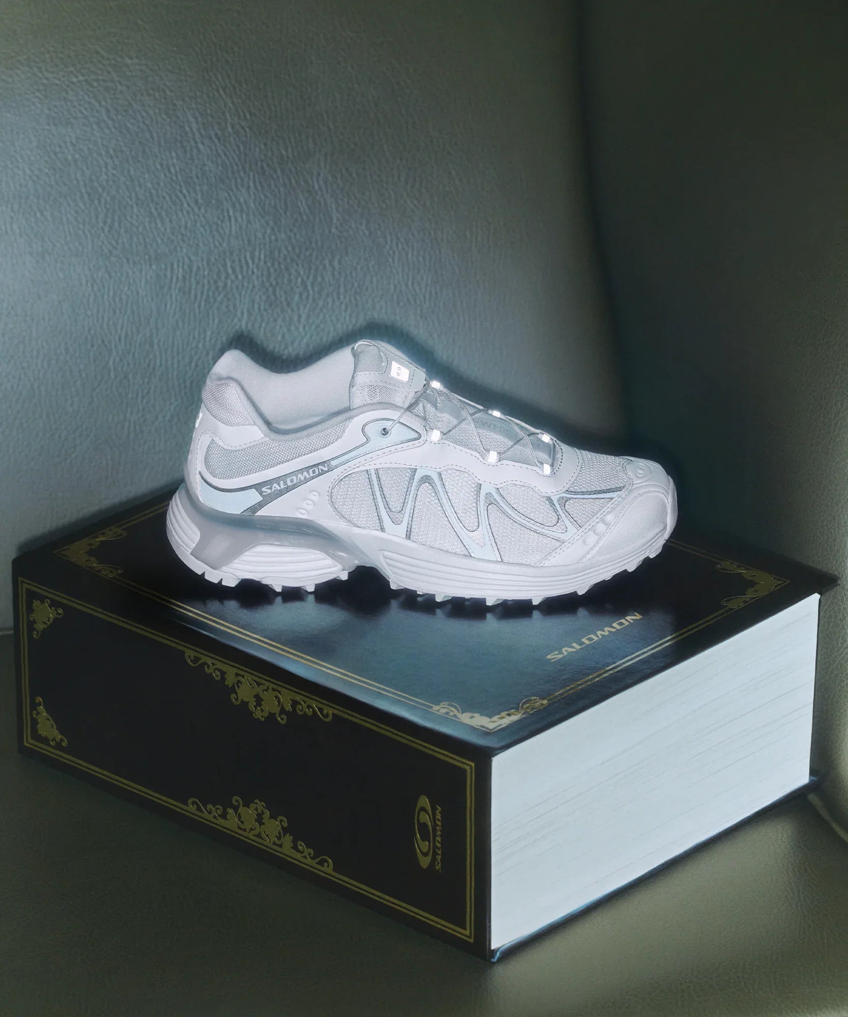 XT-WHISPER - Chillpaw