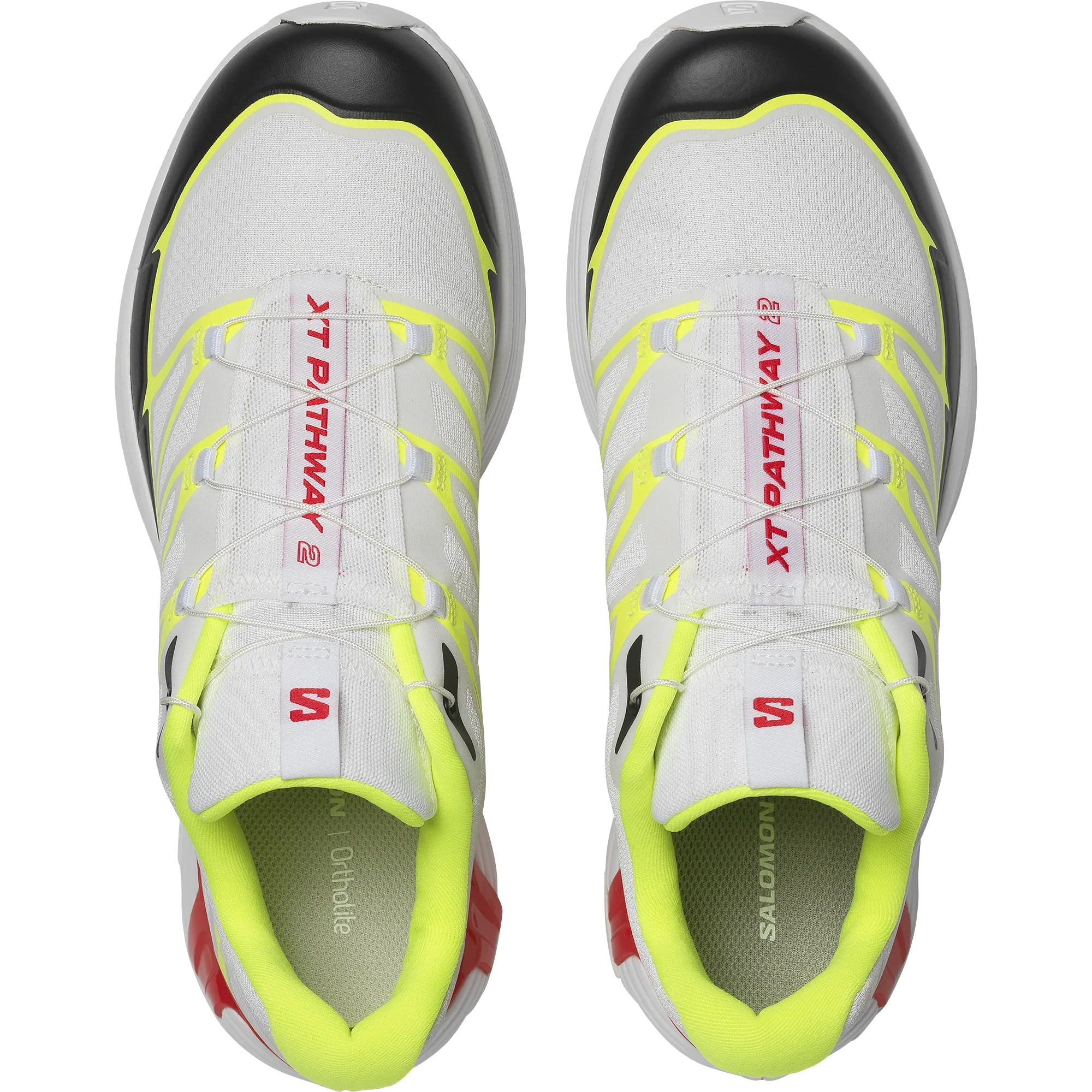 XT-PATHWAY 2 - Chillpaw