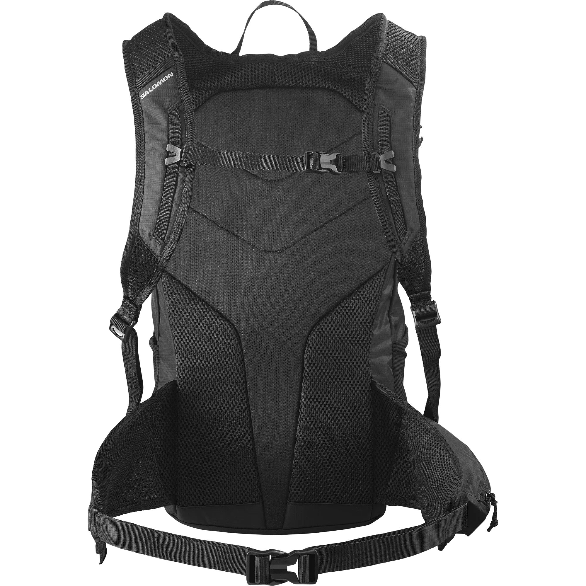 TRAILBLAZER 20 - Chillpaw