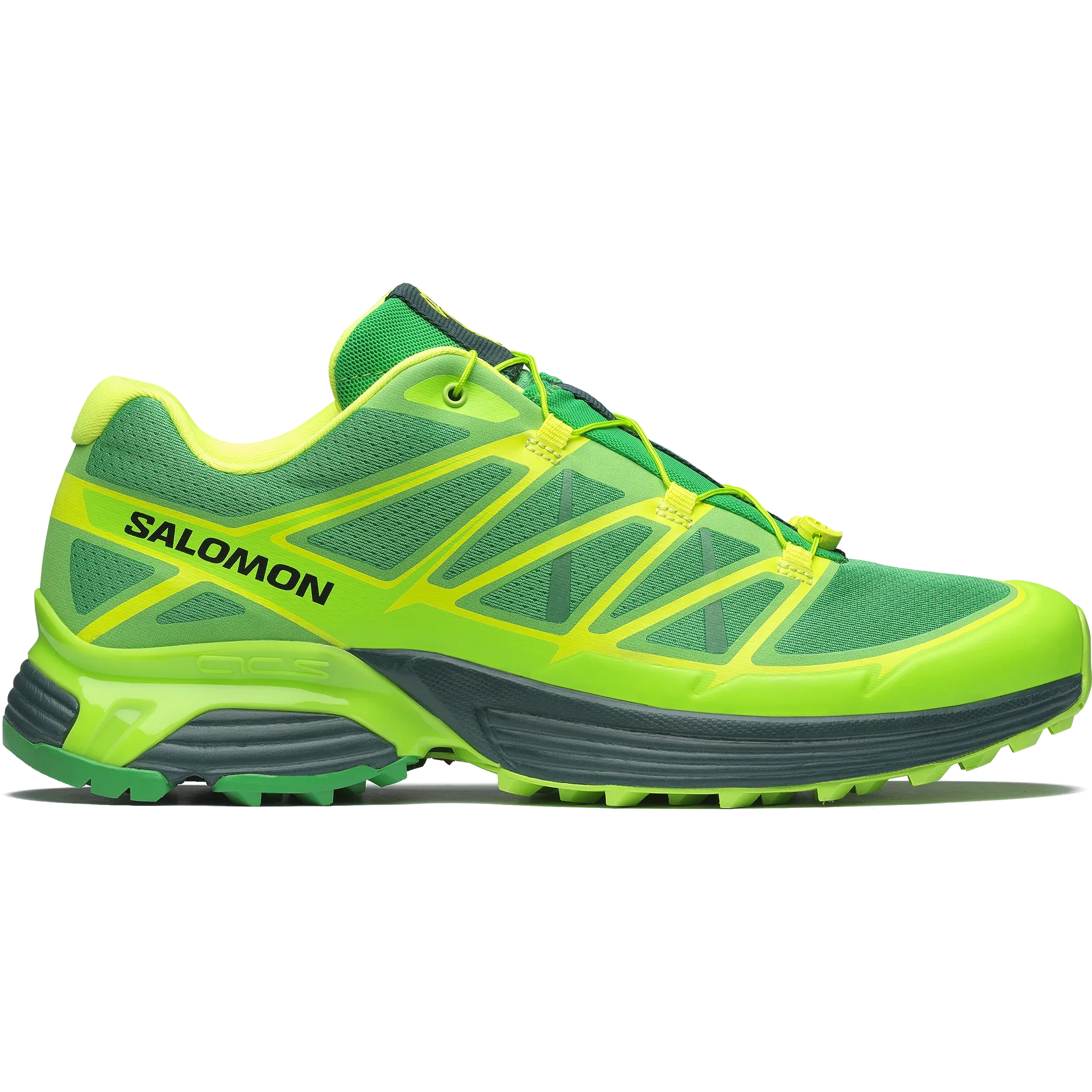 XT-PATHWAY 2 FERXXO - Chillpaw