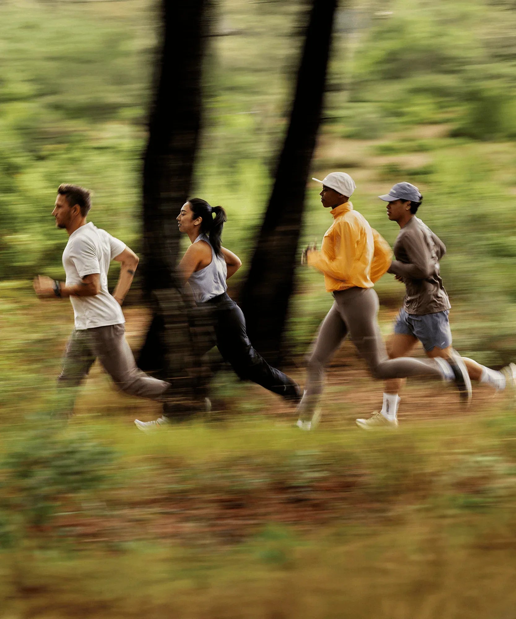 AERO GLIDE 3 GRVL - Chillpaw