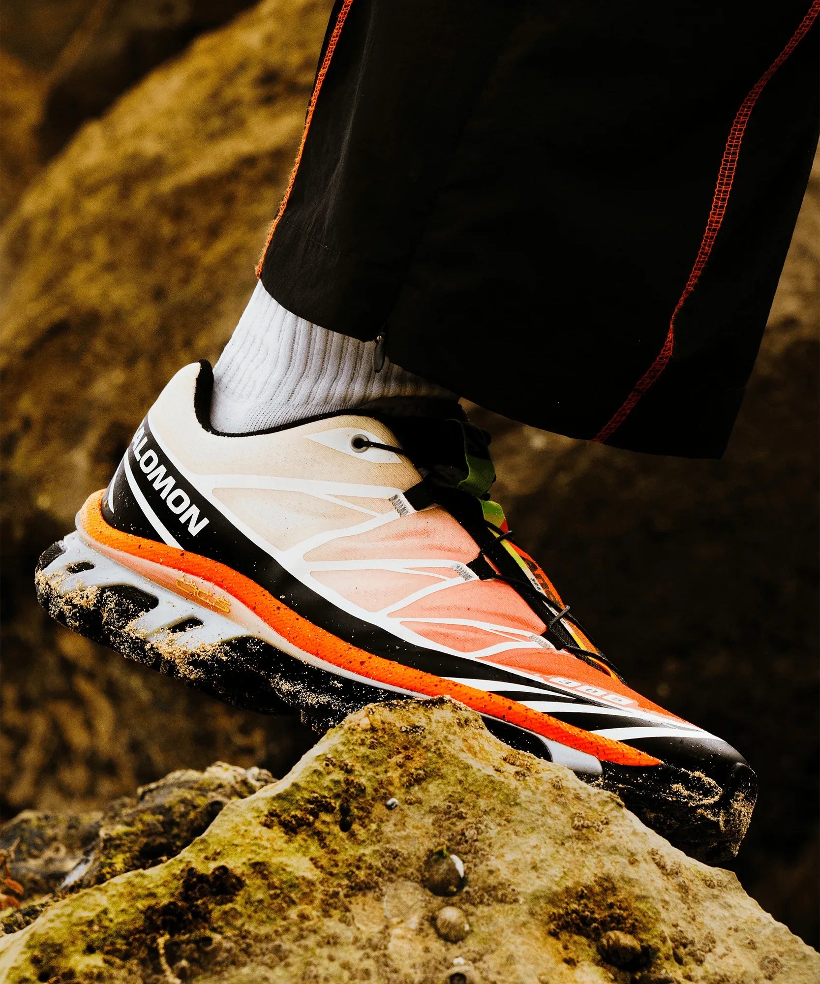 XT-6 ANDREW - Chillpaw