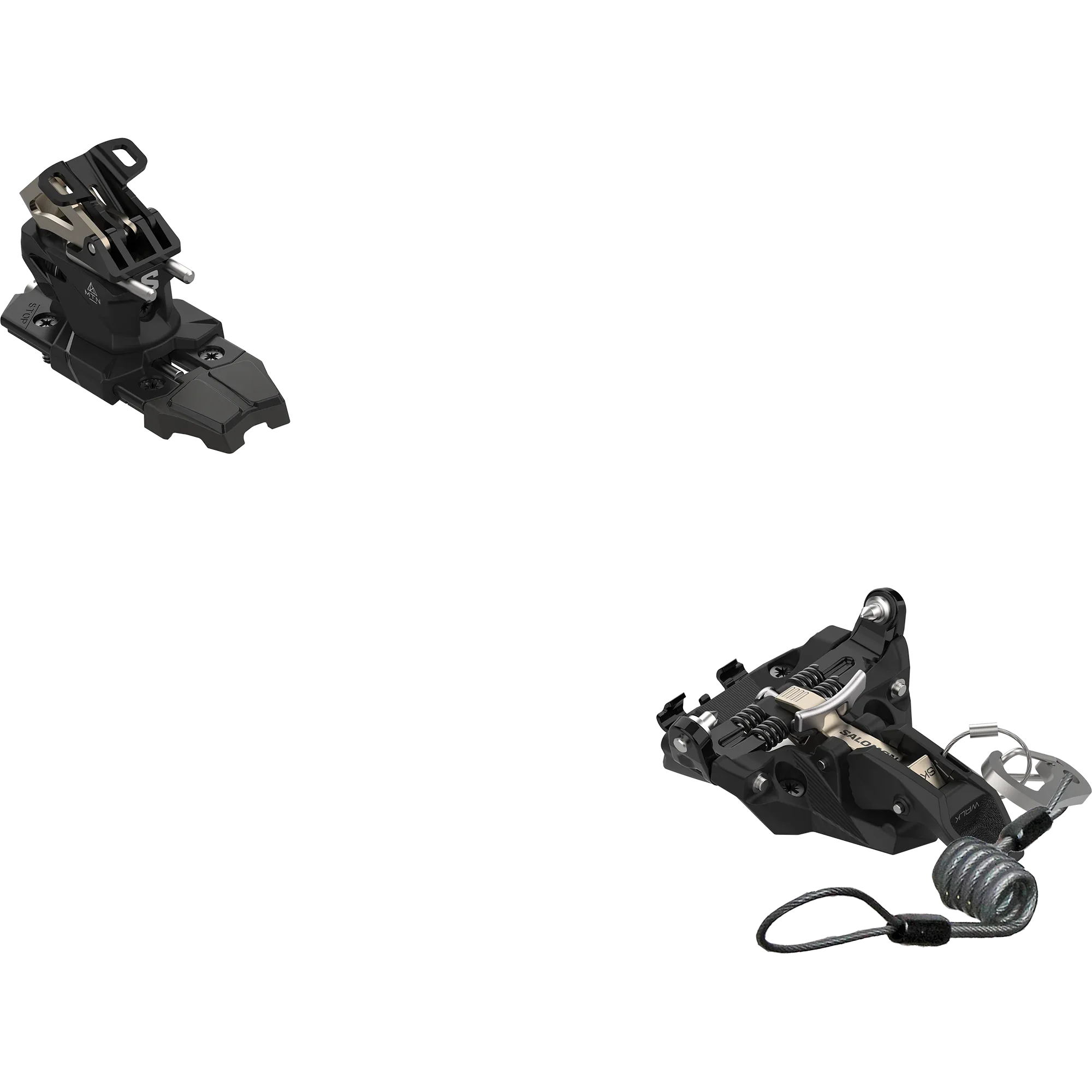 MTN SUMMIT 9 (and Leash) - Chillpaw