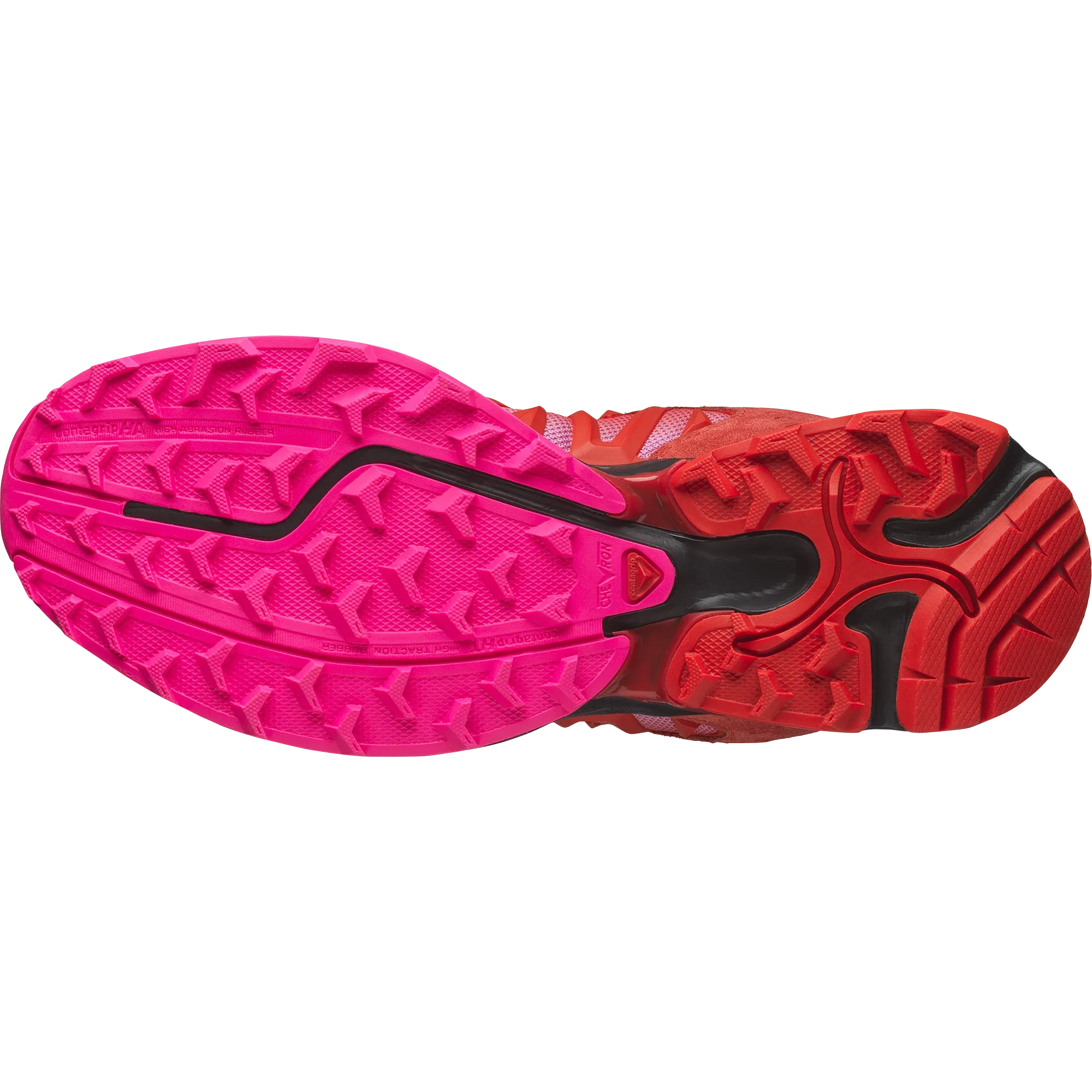 XT WHISPER ARIES - Chillpaw