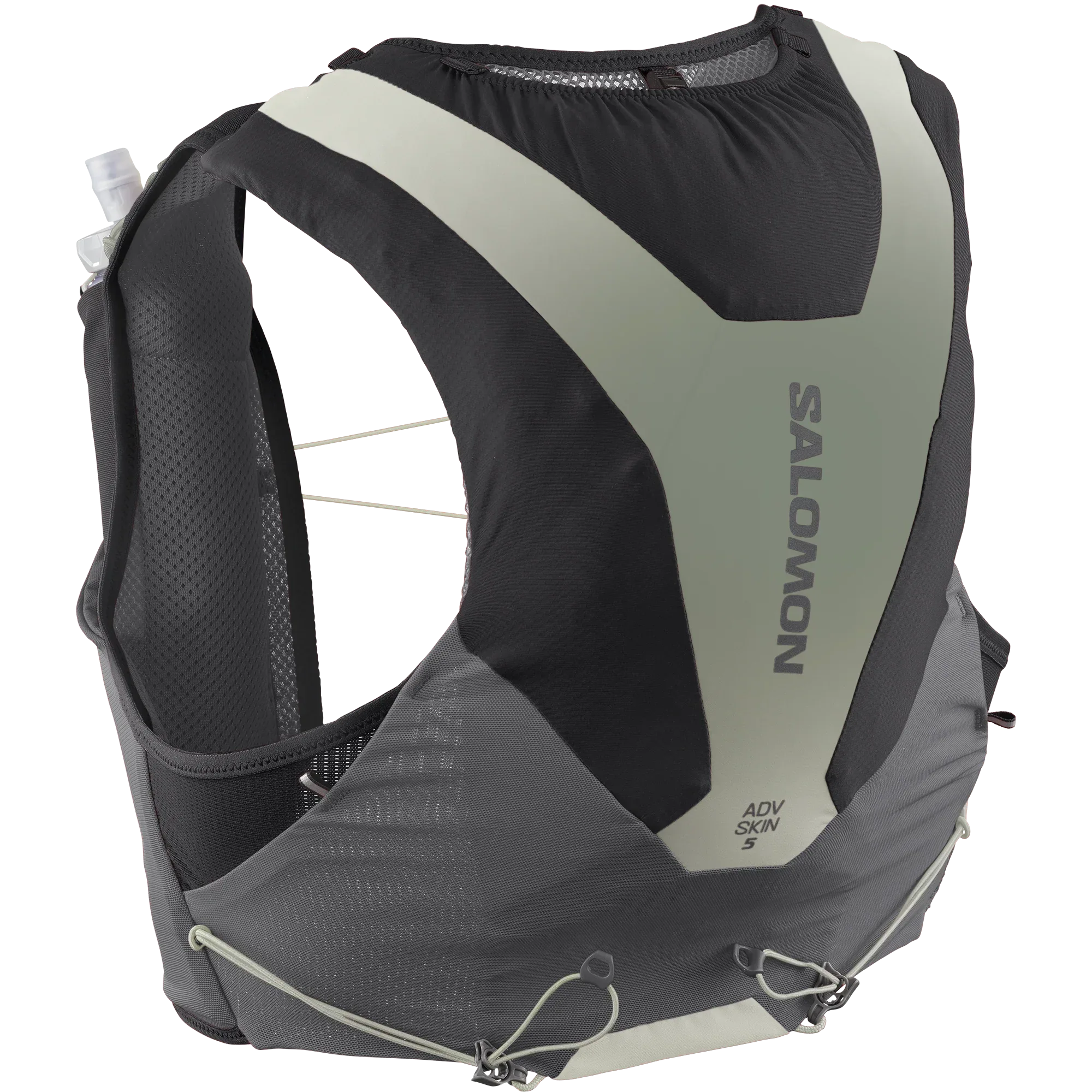 ADV SKIN 5 GRADIENT - Chillpaw