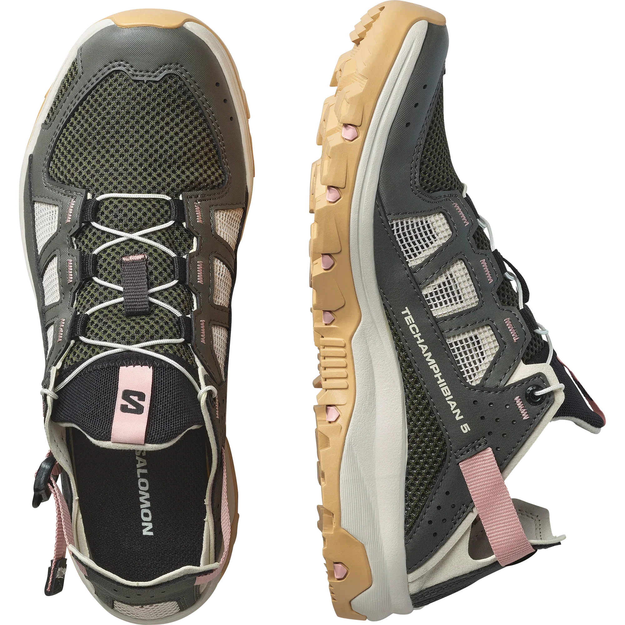 TECHAMPHIBIAN 5 - Chillpaw