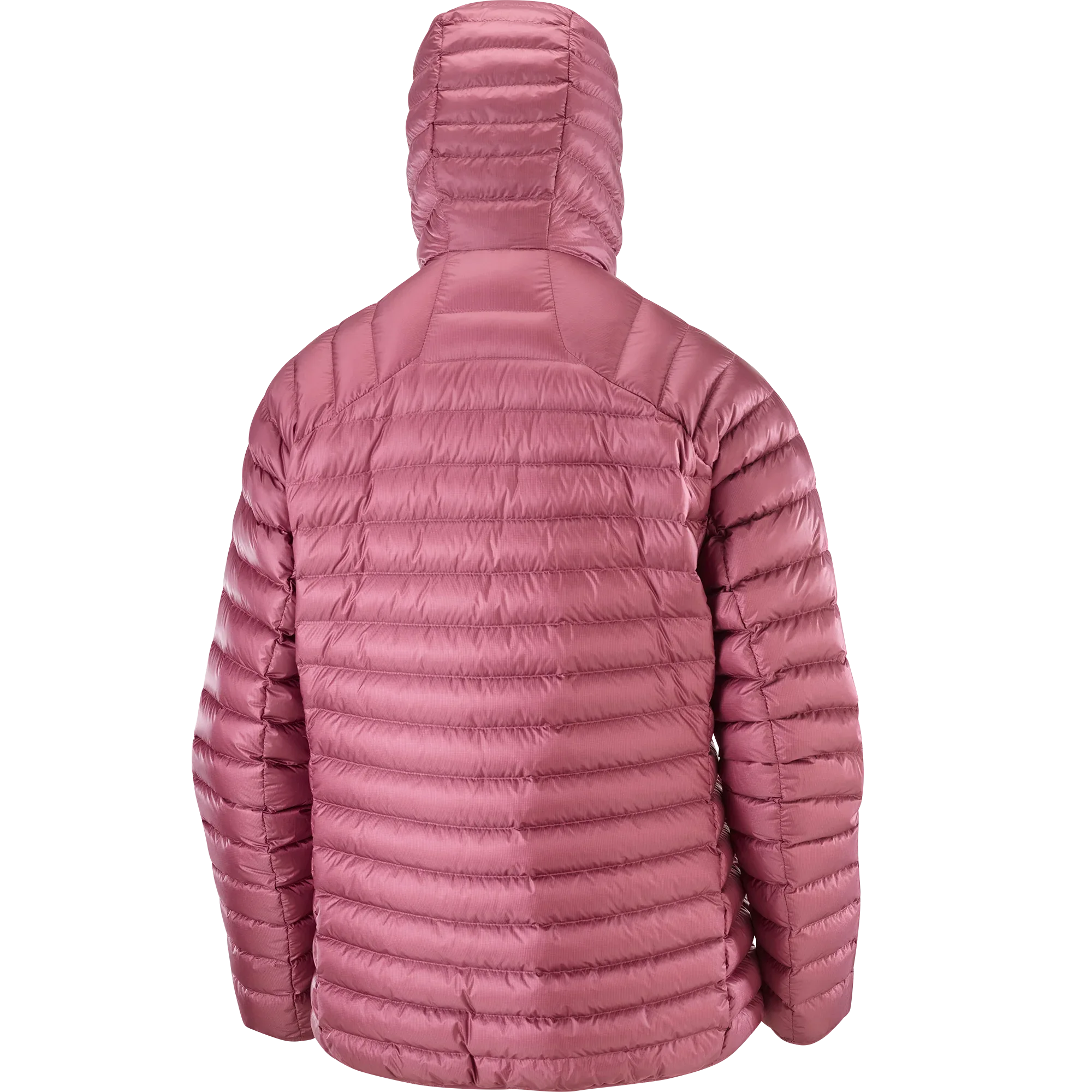 ELIXIR MICRO DOWN - Chillpaw