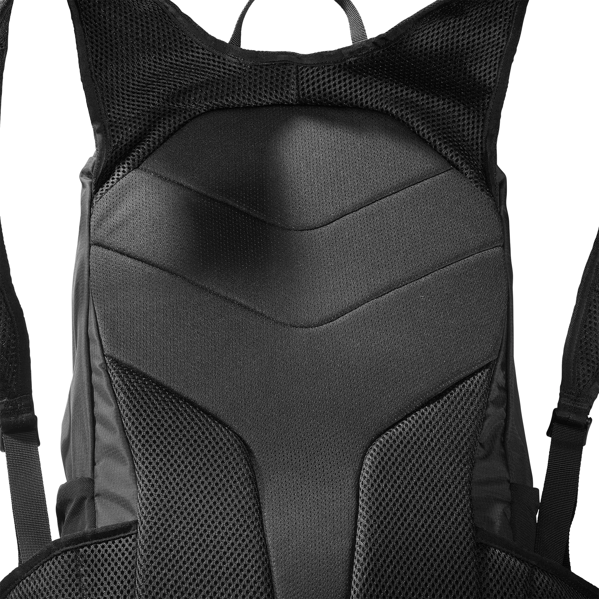 TRAILBLAZER 20 - Chillpaw