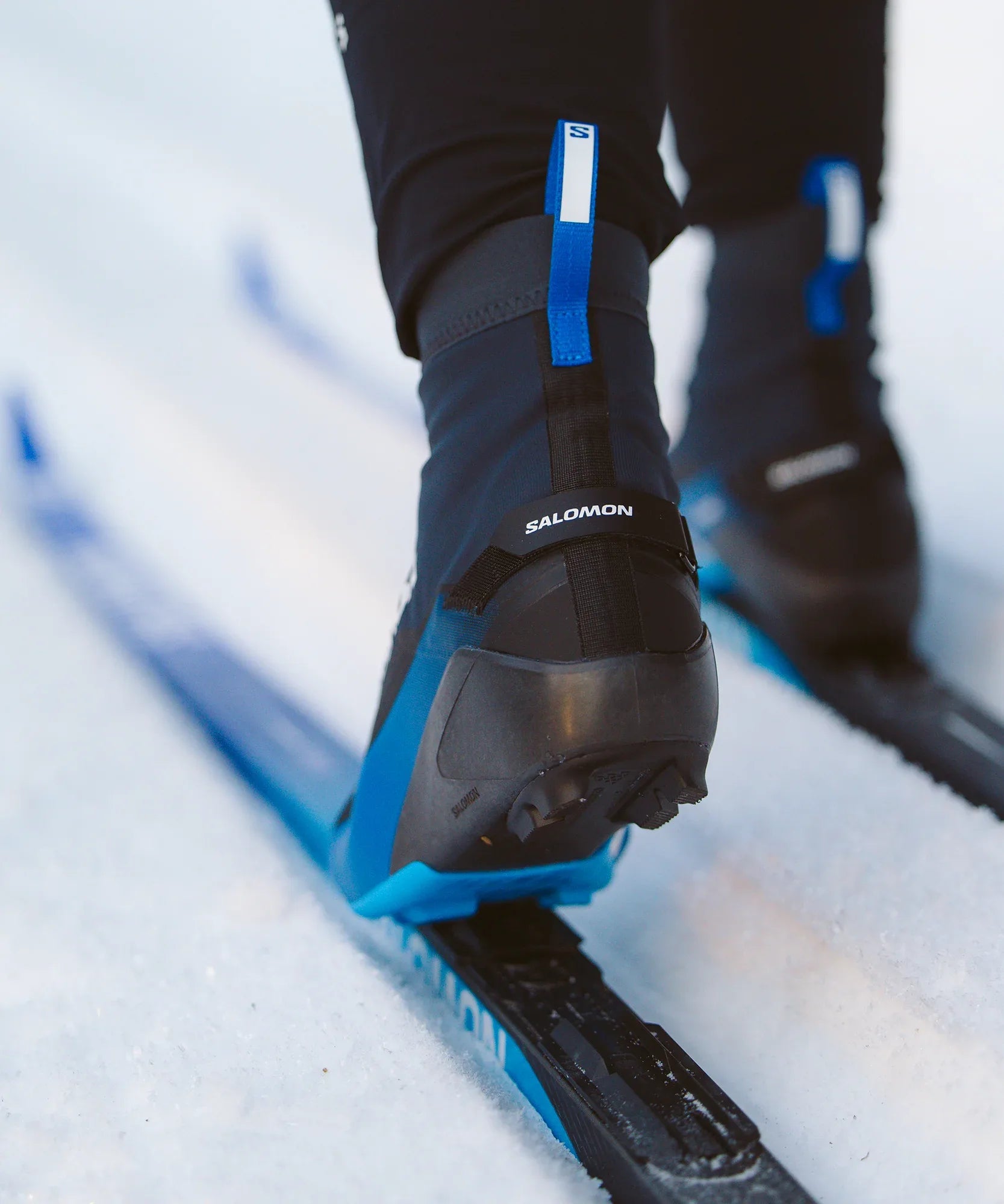 S/MAX CLASSIC - Chillpaw