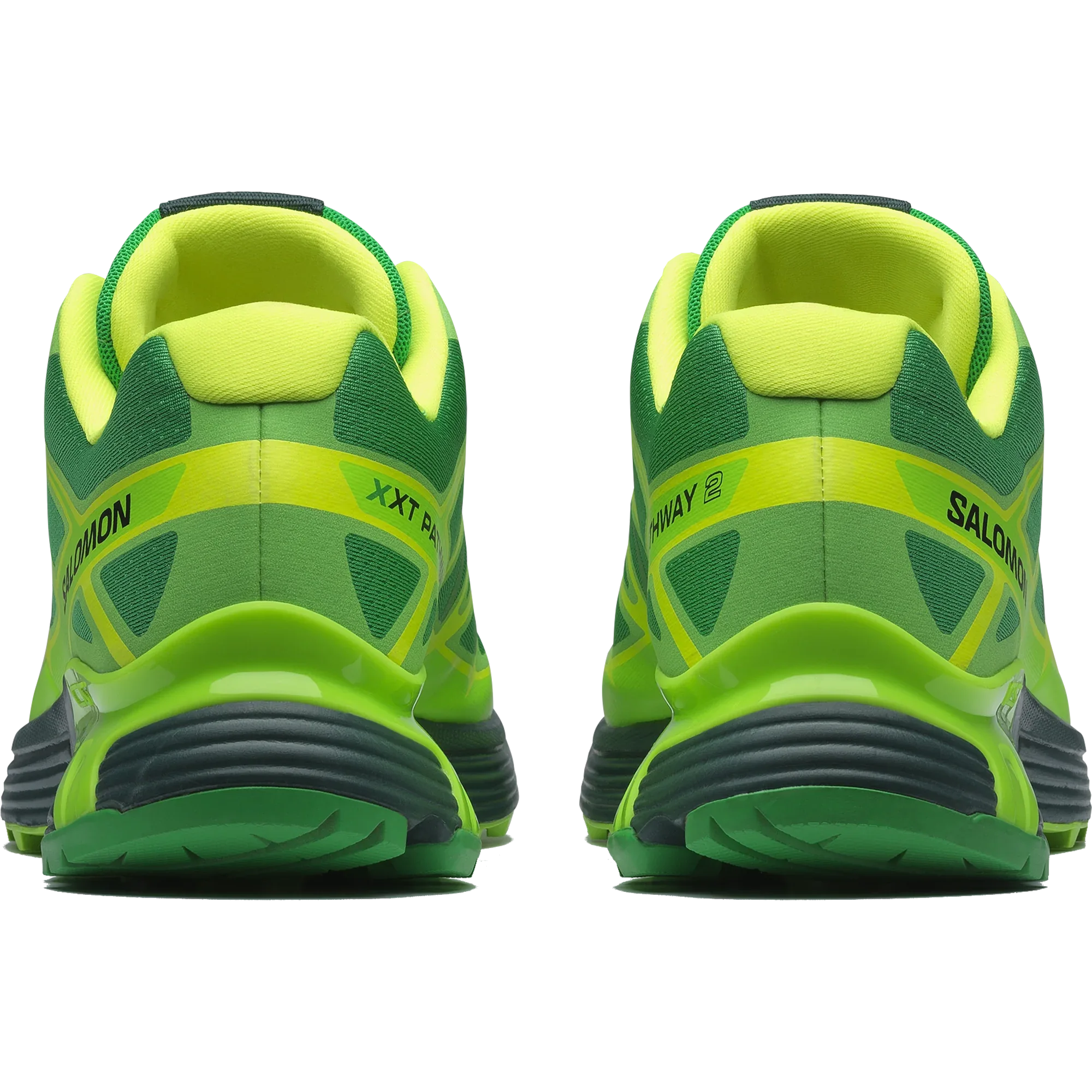 XT-PATHWAY 2 FERXXO - Chillpaw