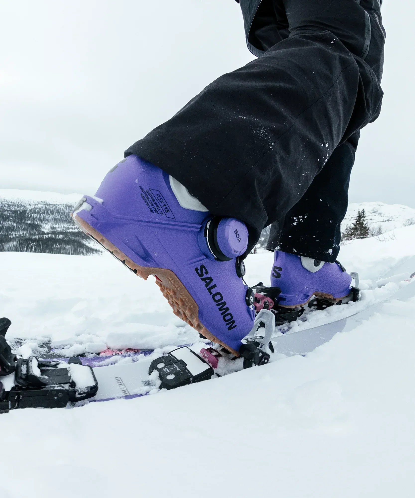 SHIFT ALPHA BOA® 115 - Chillpaw