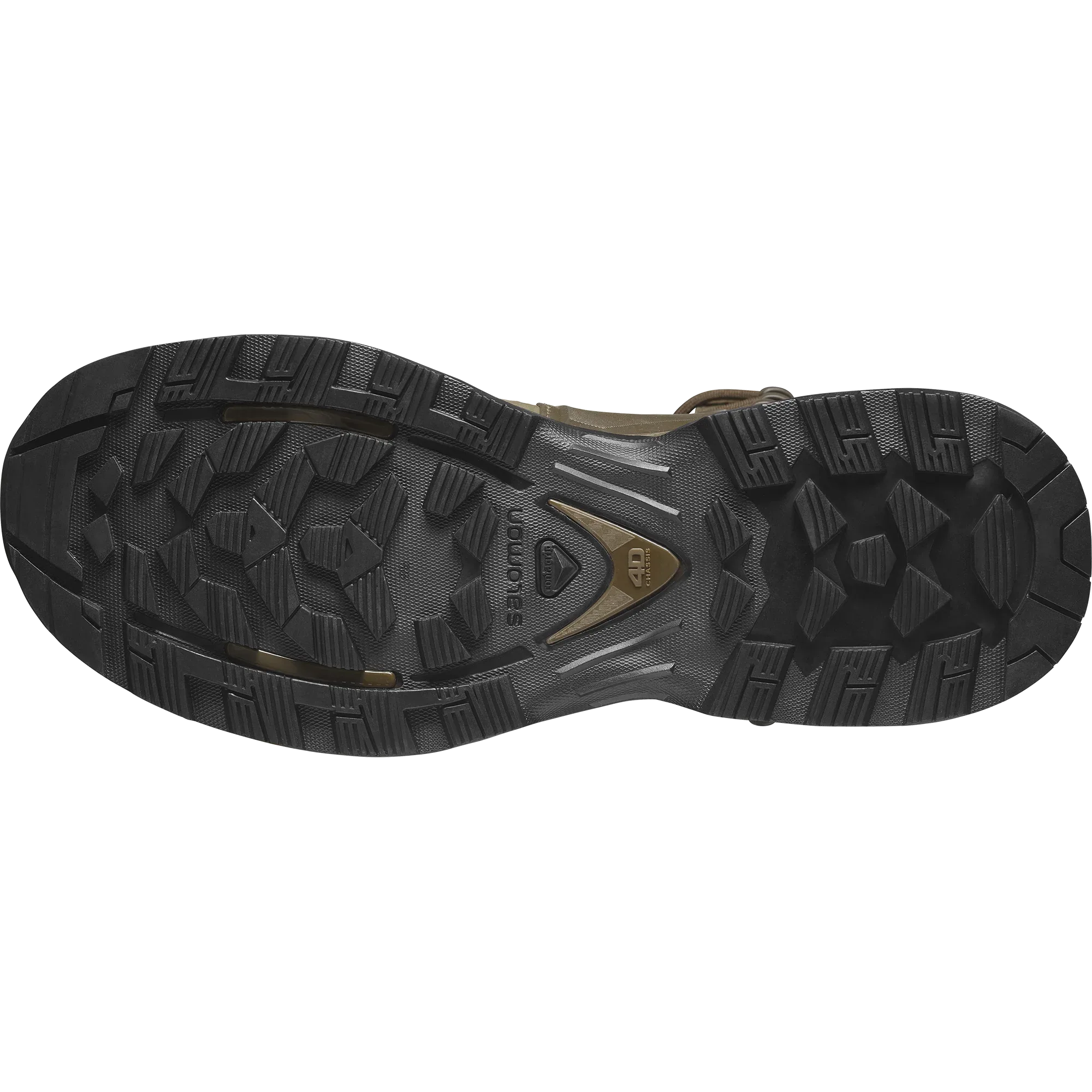 QUEST 4D FORCES 2 HIGH GORE-TEX EN - Chillpaw